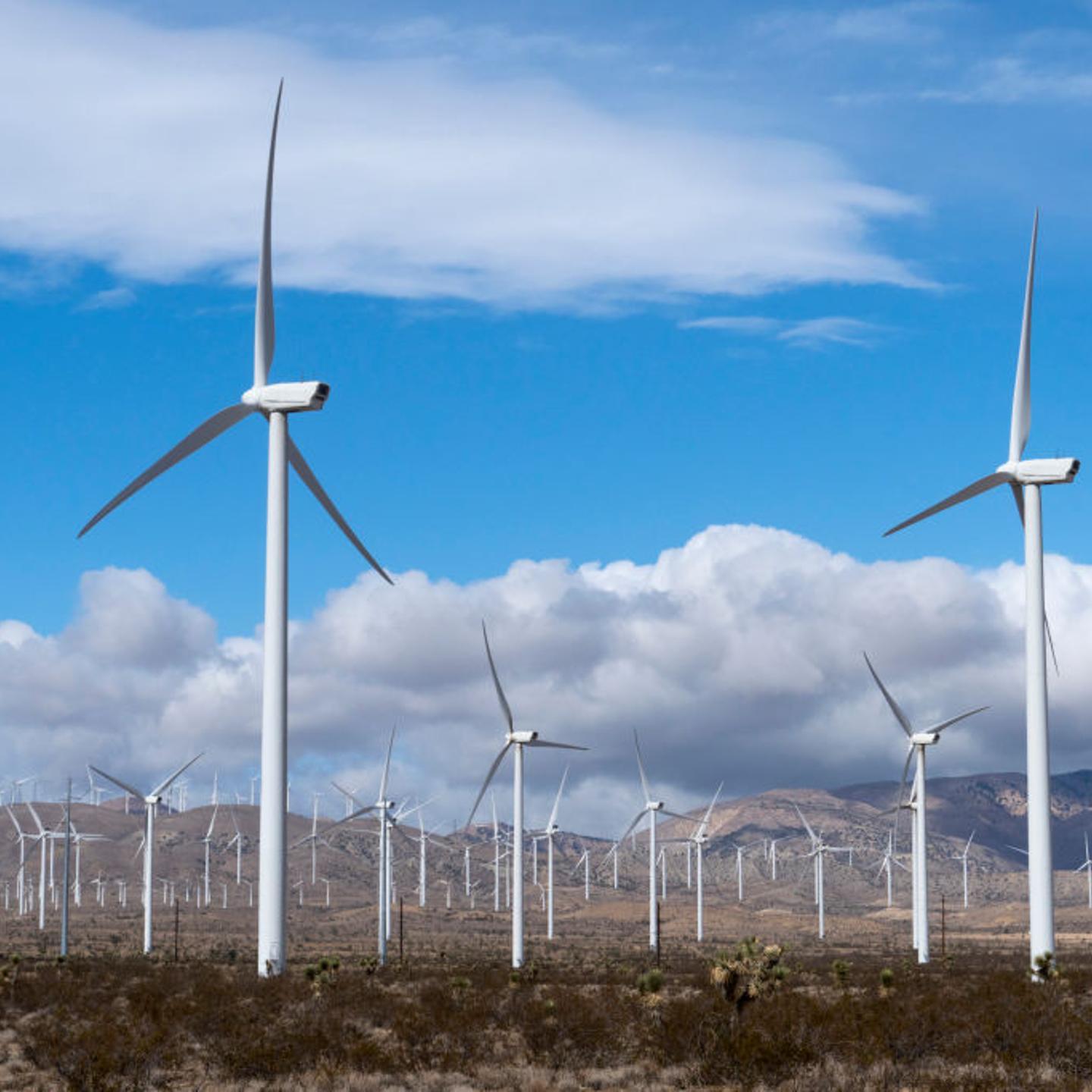 Windmills near Mojave, California