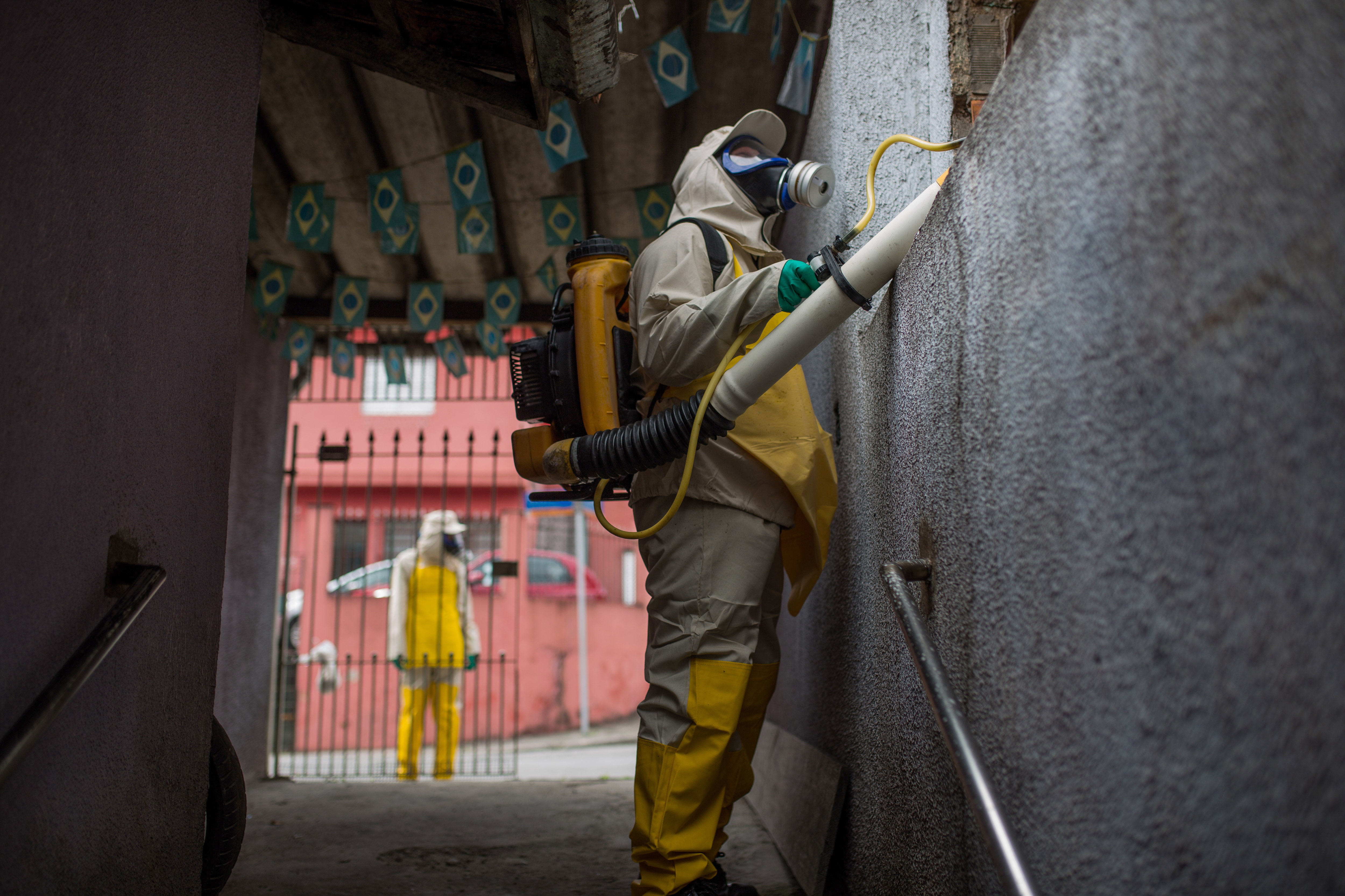 zika mosquito control brazil