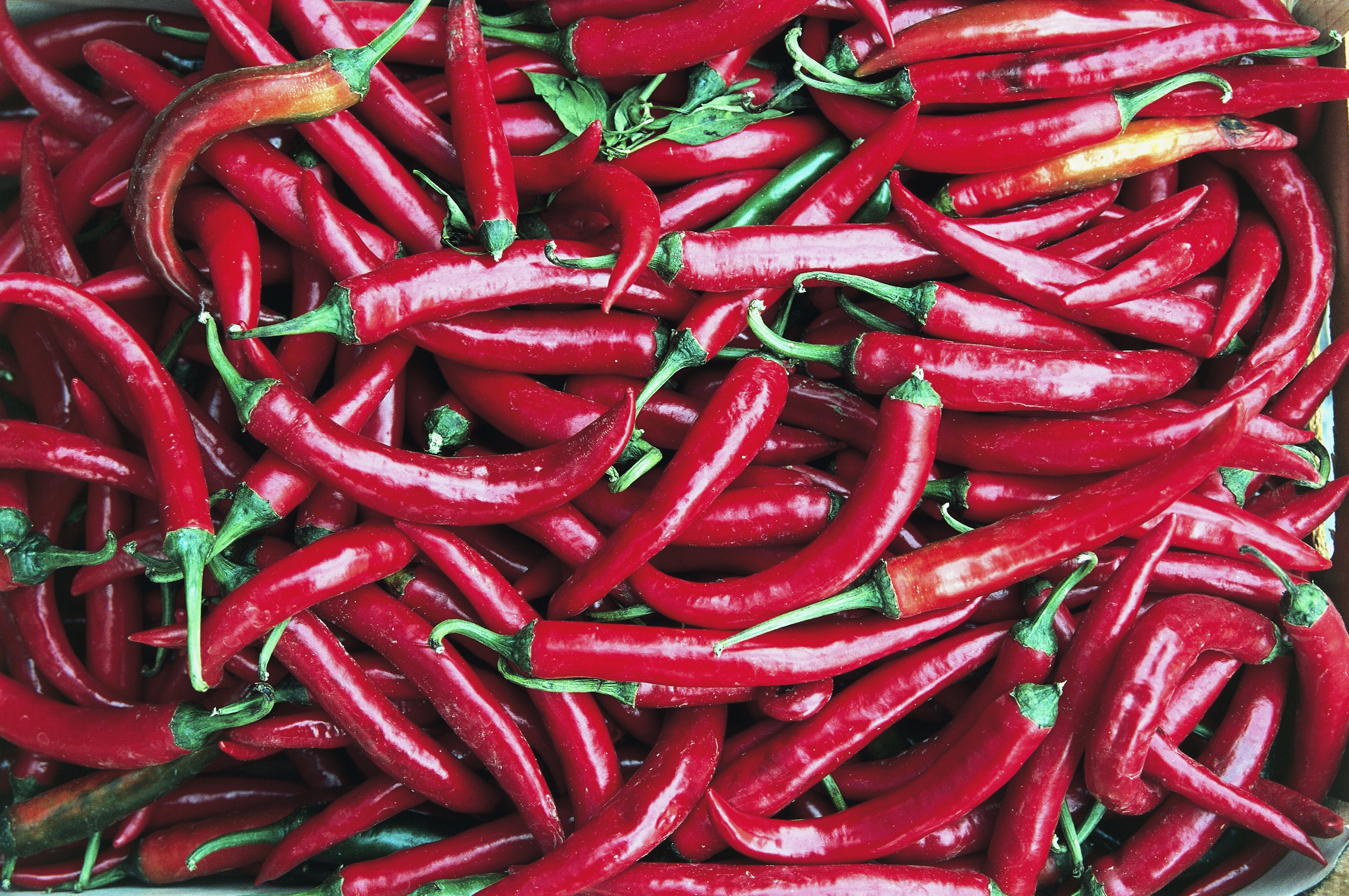 Spicy Foods Like Chili Peppers May Help You Live Longer