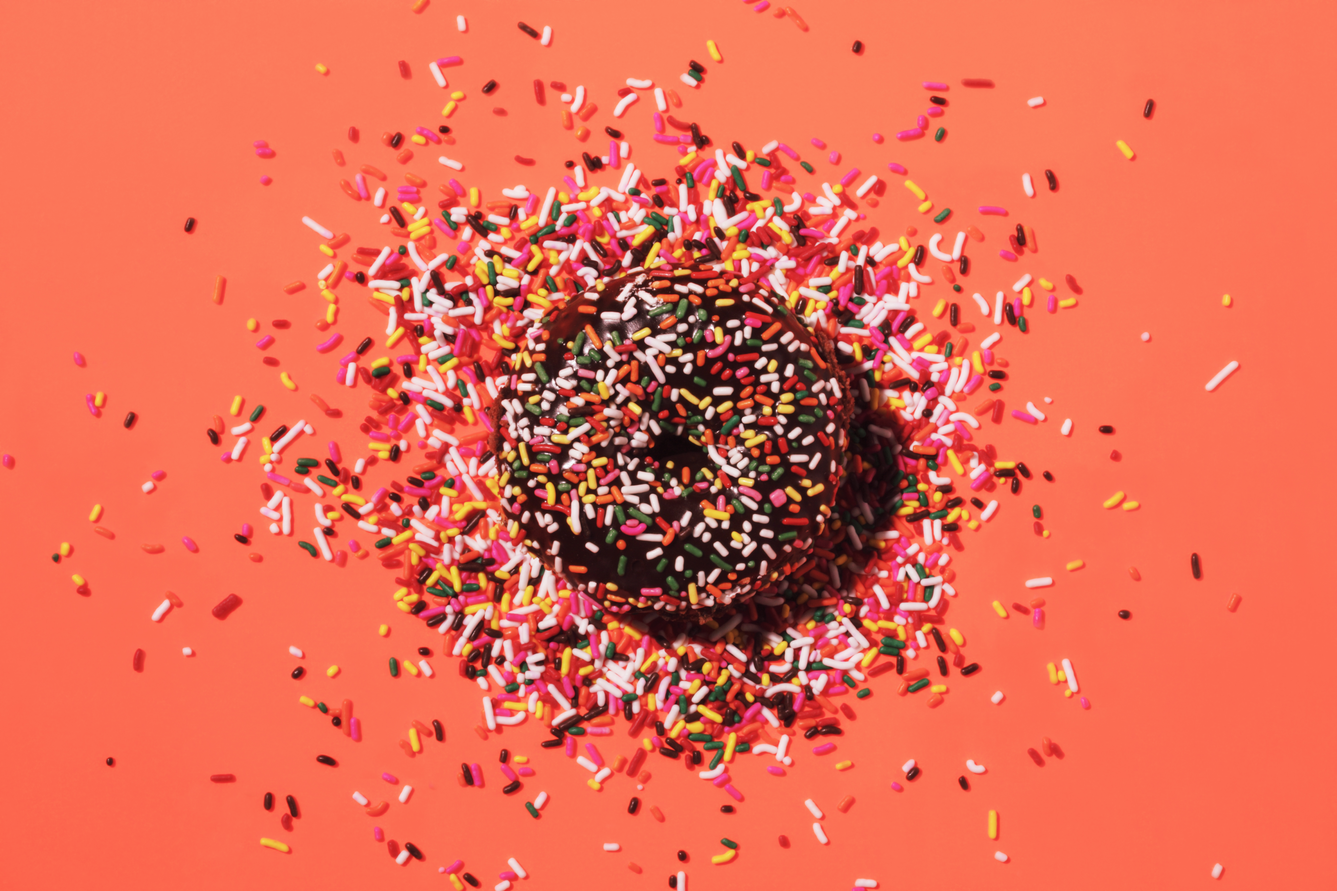 Chocolate donut with sprinkles
