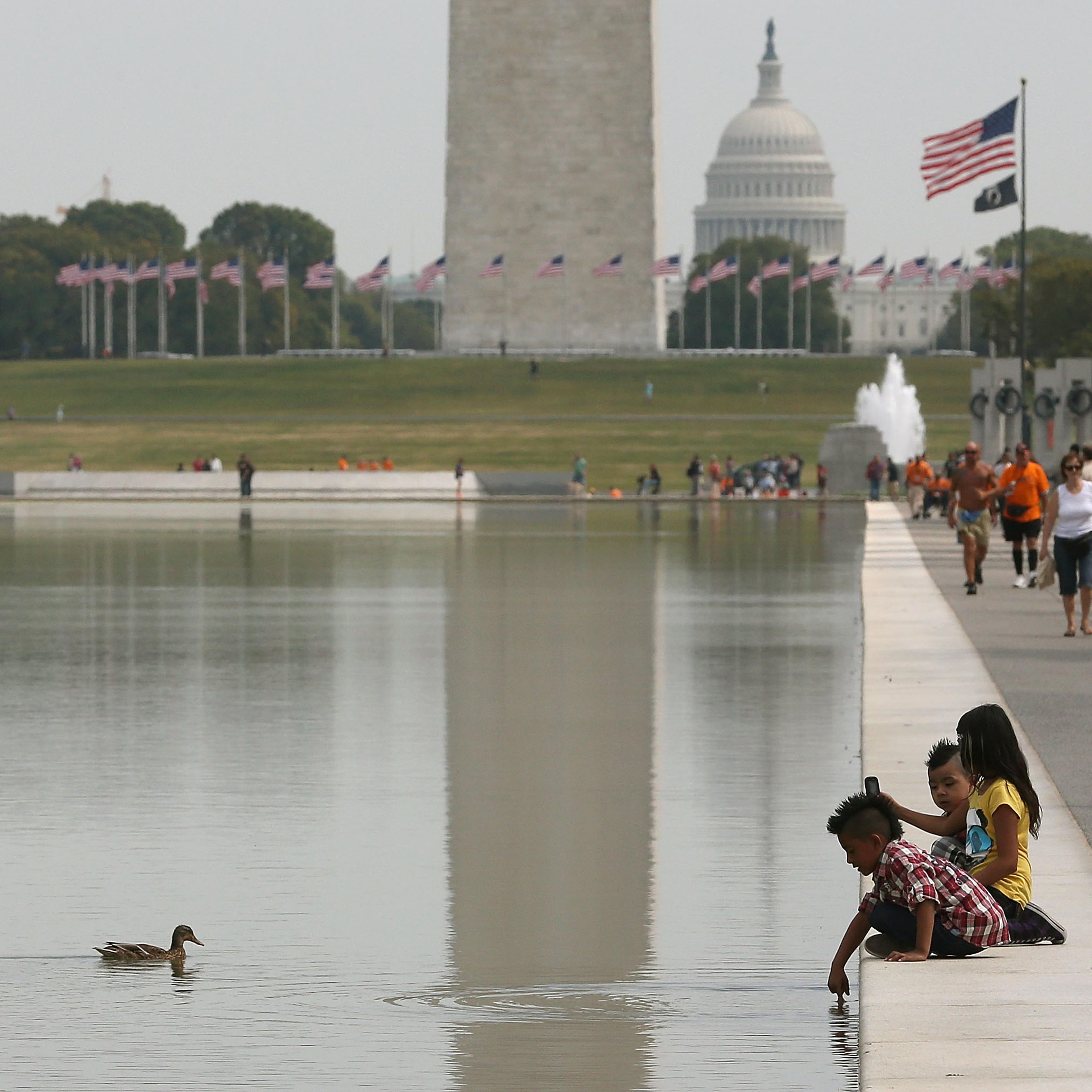 Algae Problem At Lincoln Memorial Reflecting Pool Not Subsiding