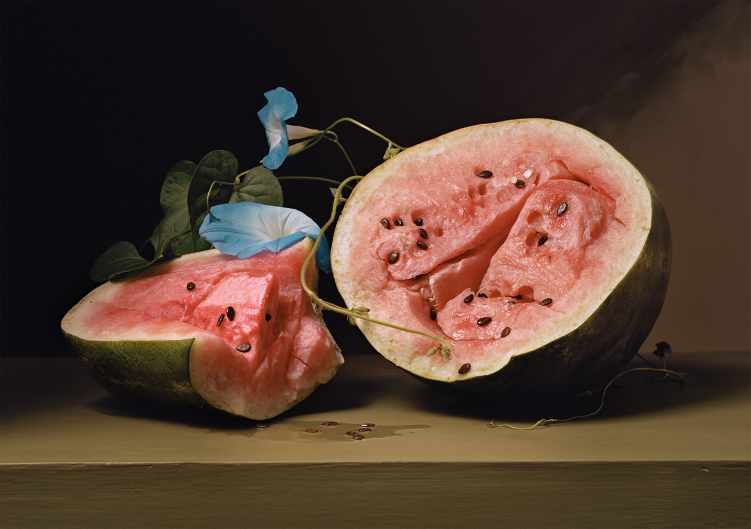 Plate 29 - Melons and Morning Glories