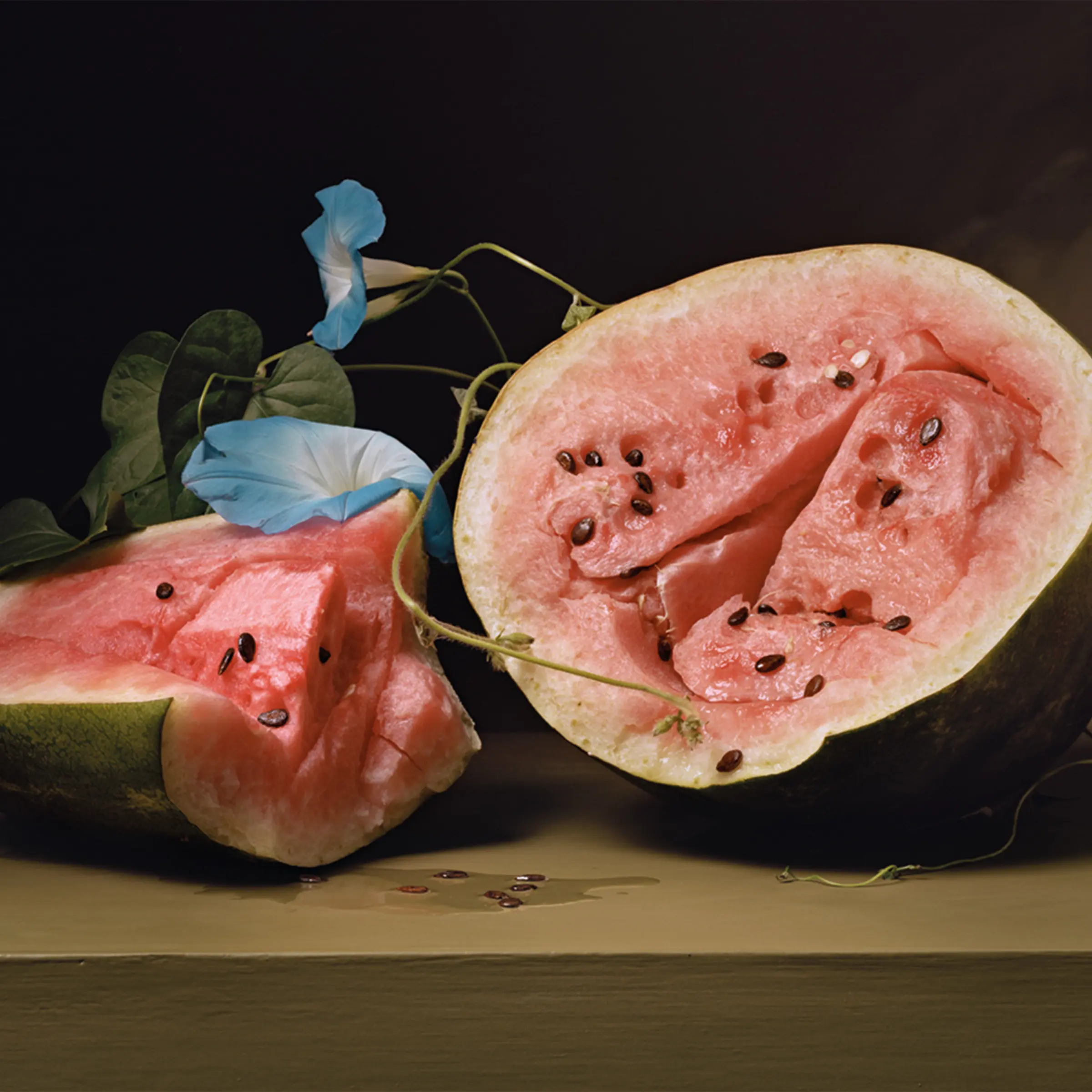 Plate 29 - Melons and Morning Glories