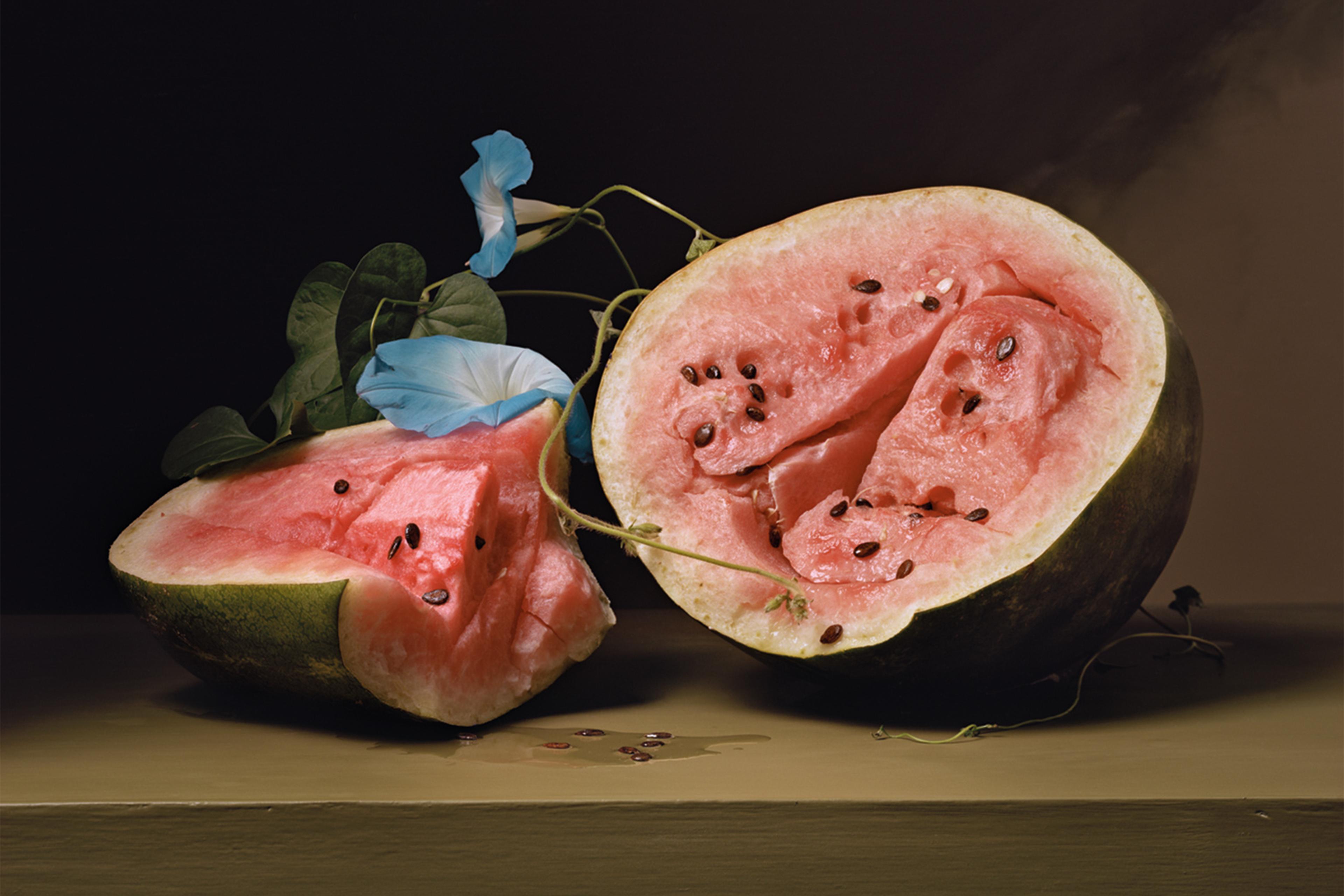 Plate 29 - Melons and Morning Glories