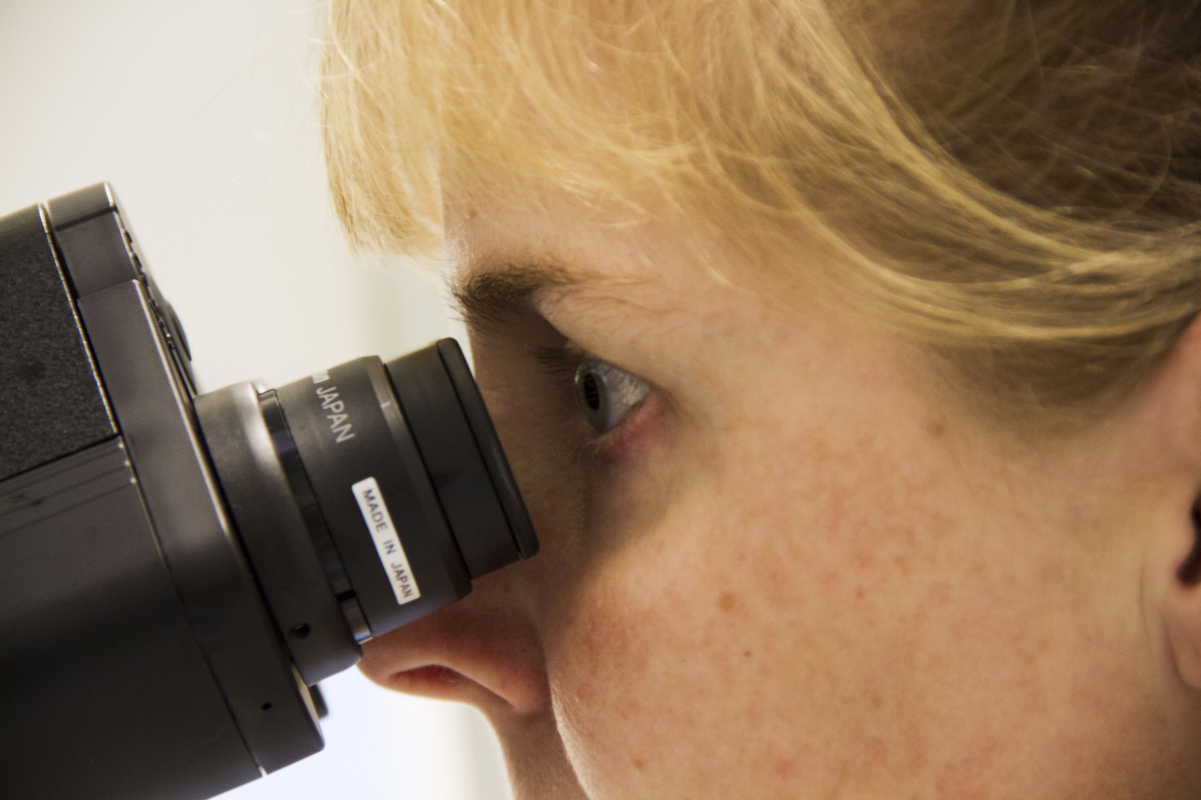 Vaccine Research At Bavarian Nordic A/S Pharmaceuticals