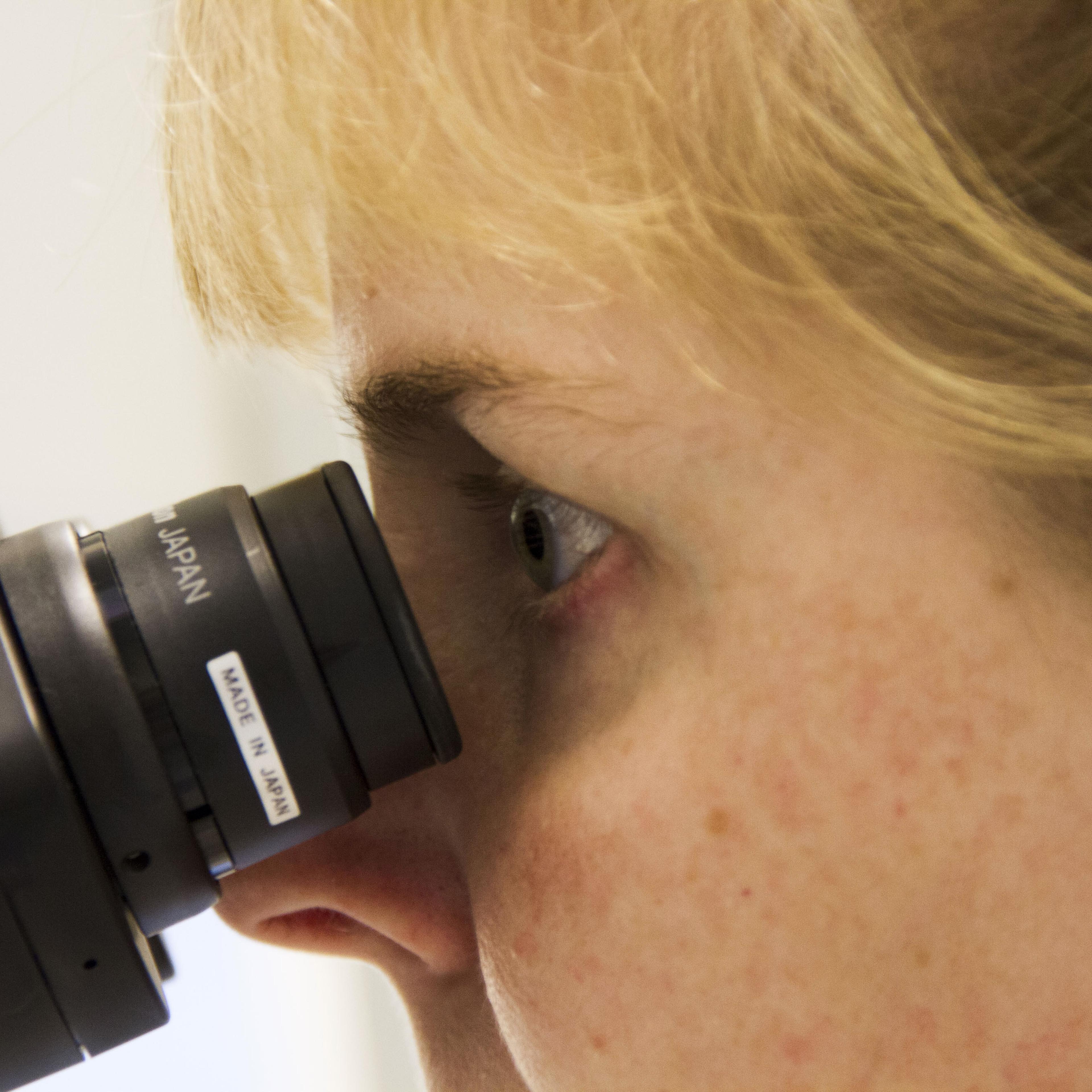 Vaccine Research At Bavarian Nordic A/S Pharmaceuticals