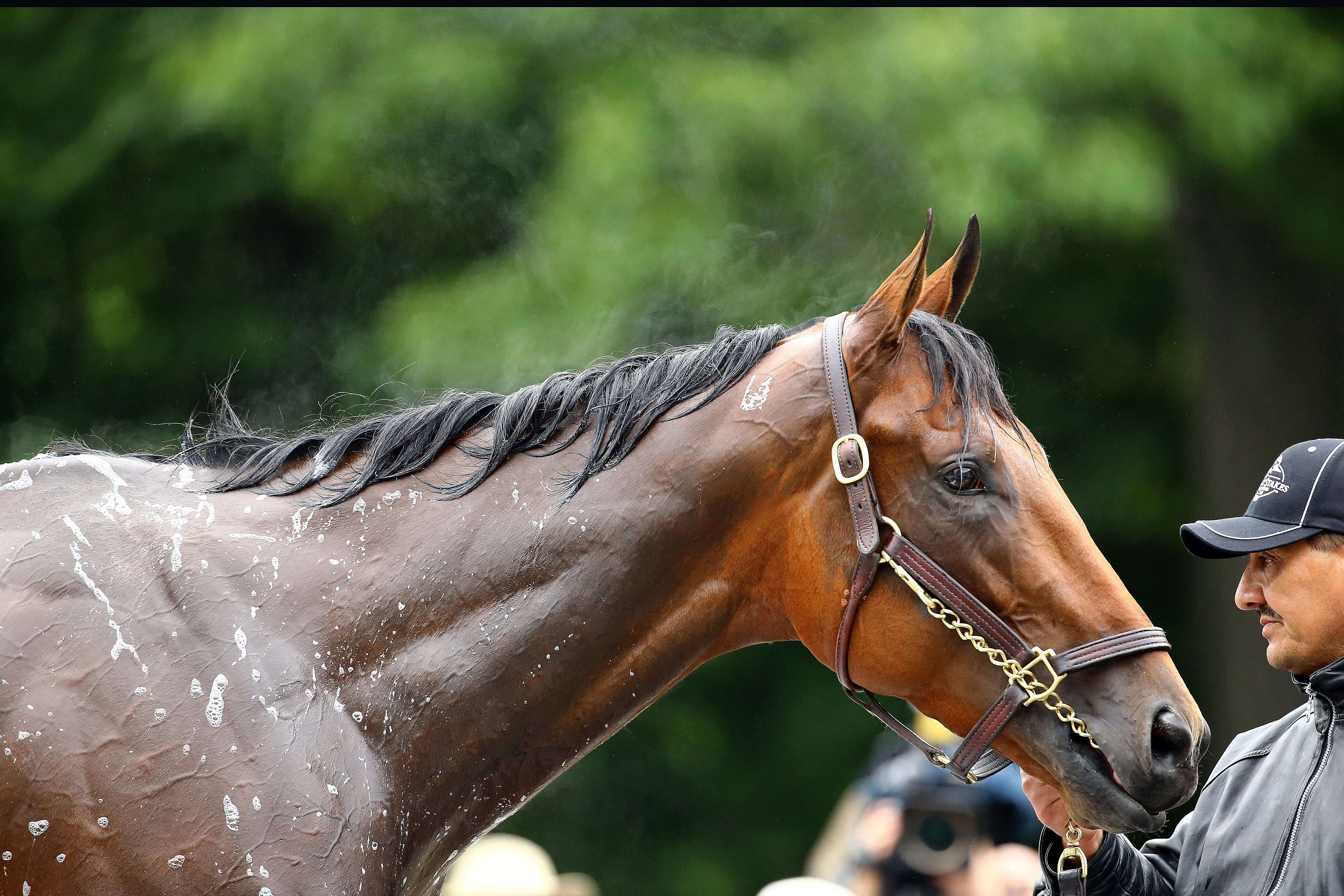 147th Belmont Stakes - Previews