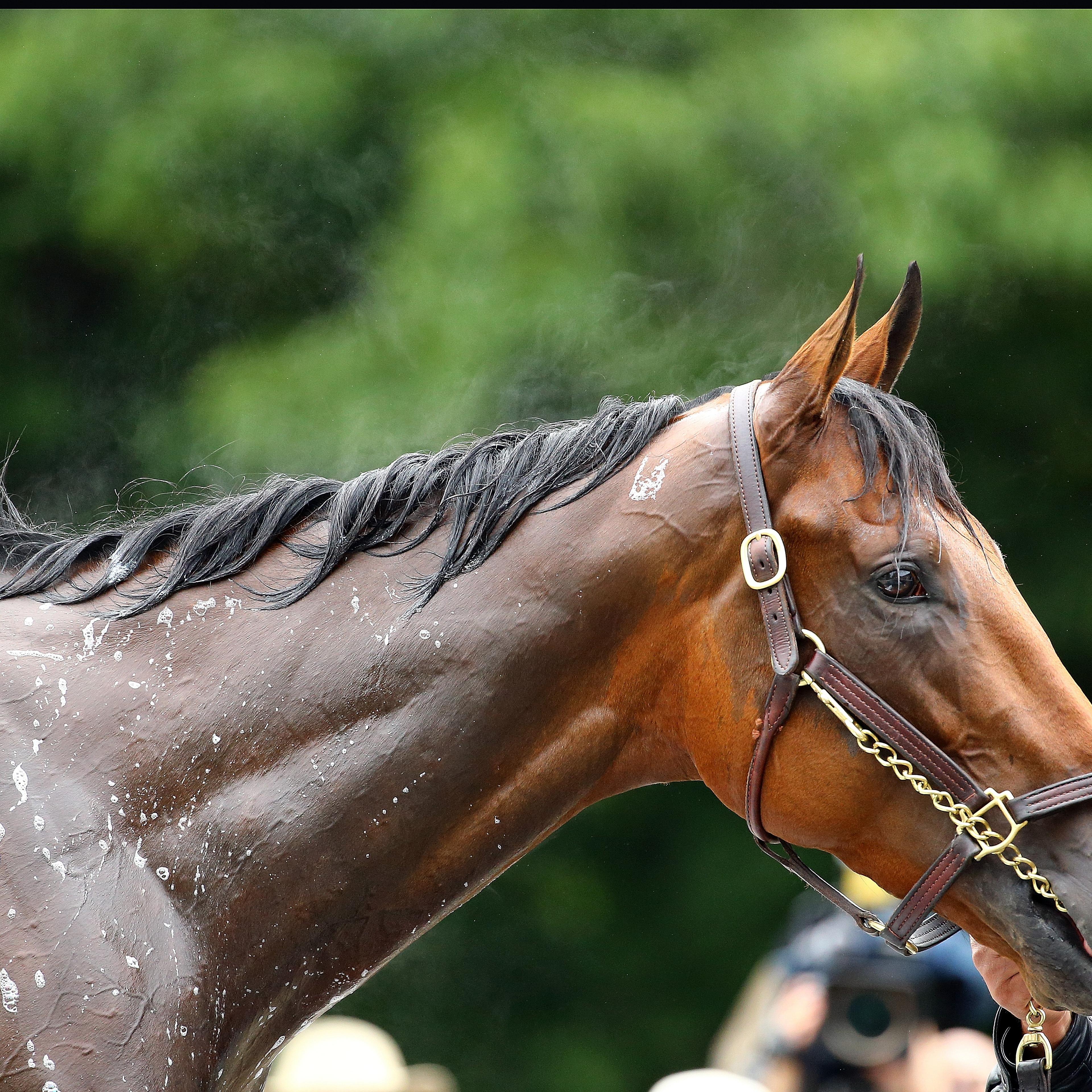 147th Belmont Stakes - Previews