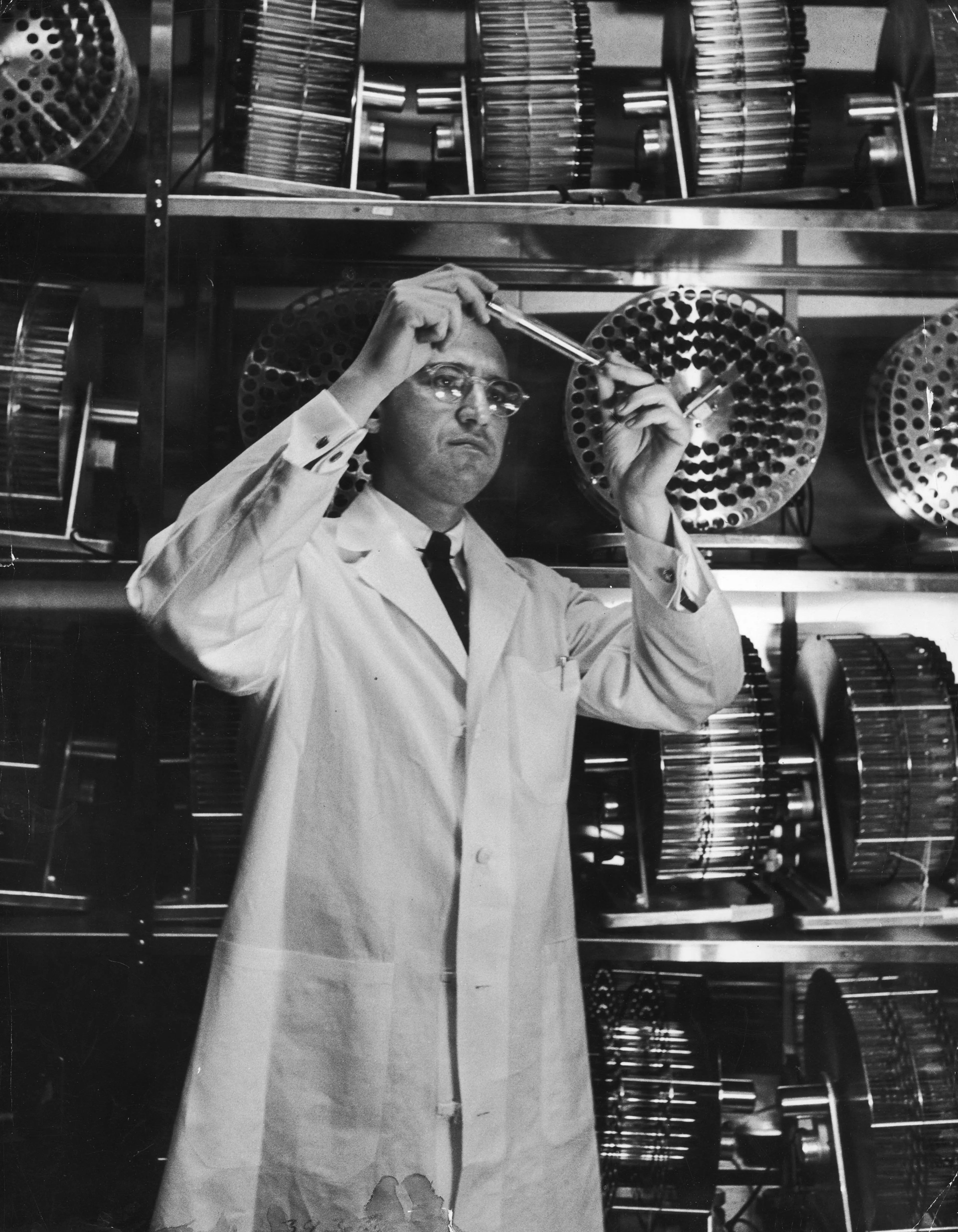 JONAS SALK
