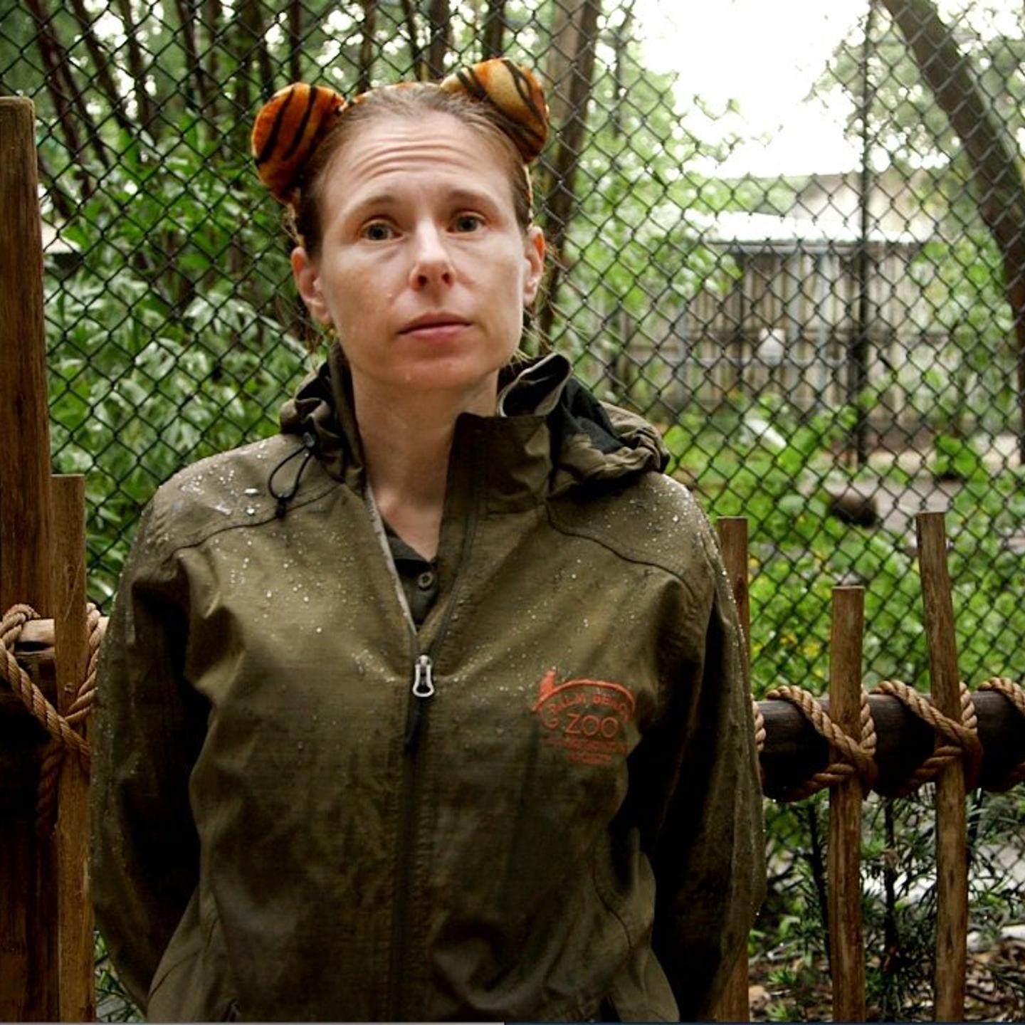 Tiger Kills Zookeeper In Florida Zoo