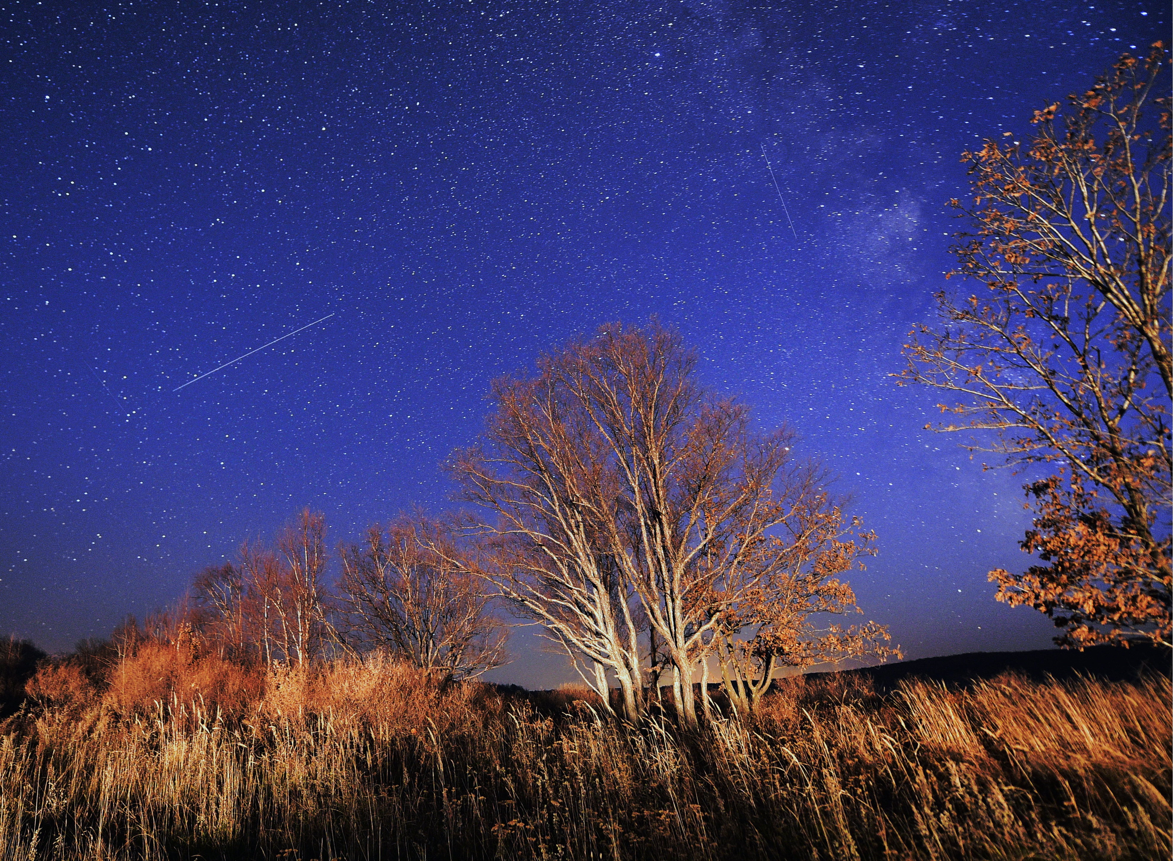 What Time is the Orionid Meteor Shower?