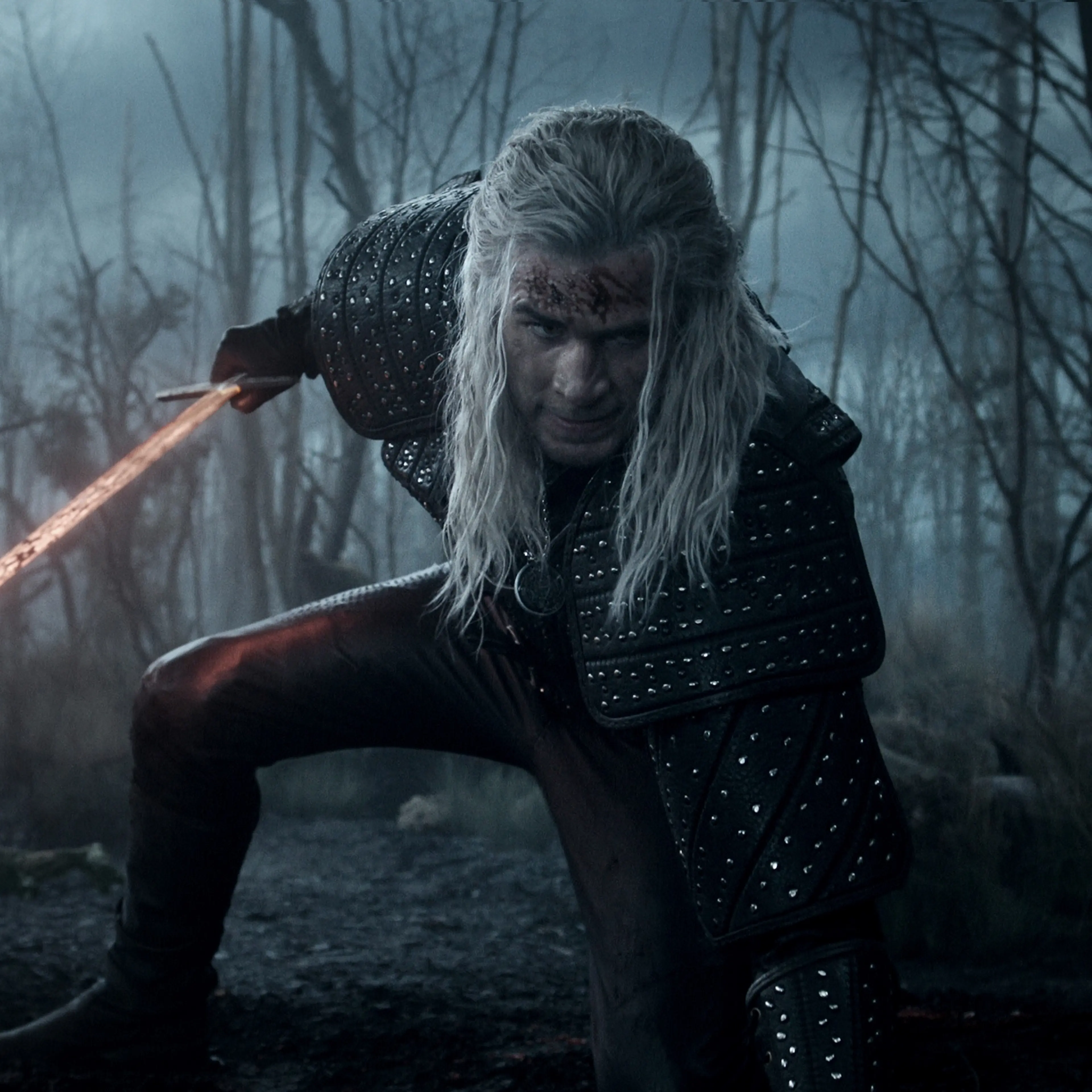 The Witcher