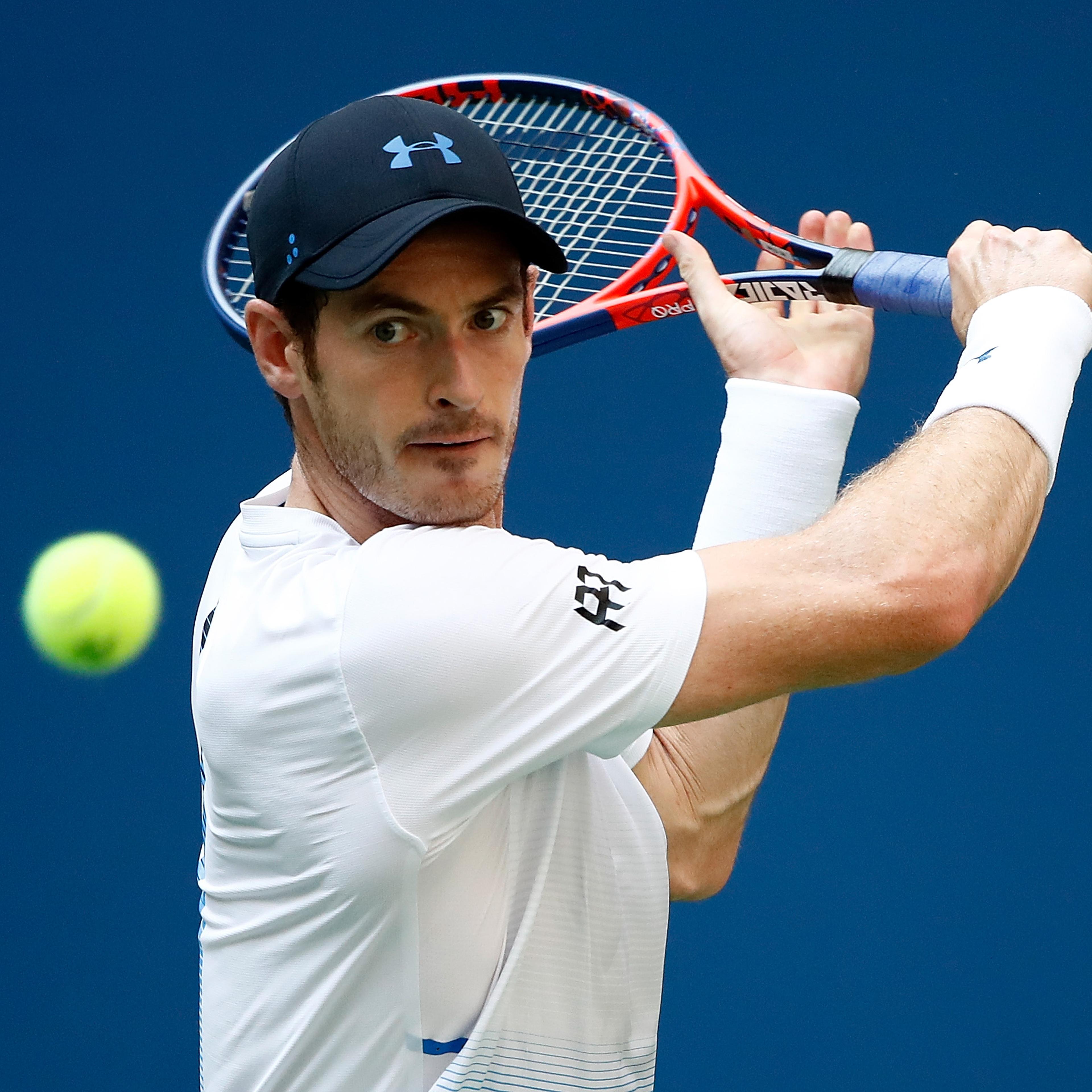Andy Murray and Fernando Verdasco at US Open