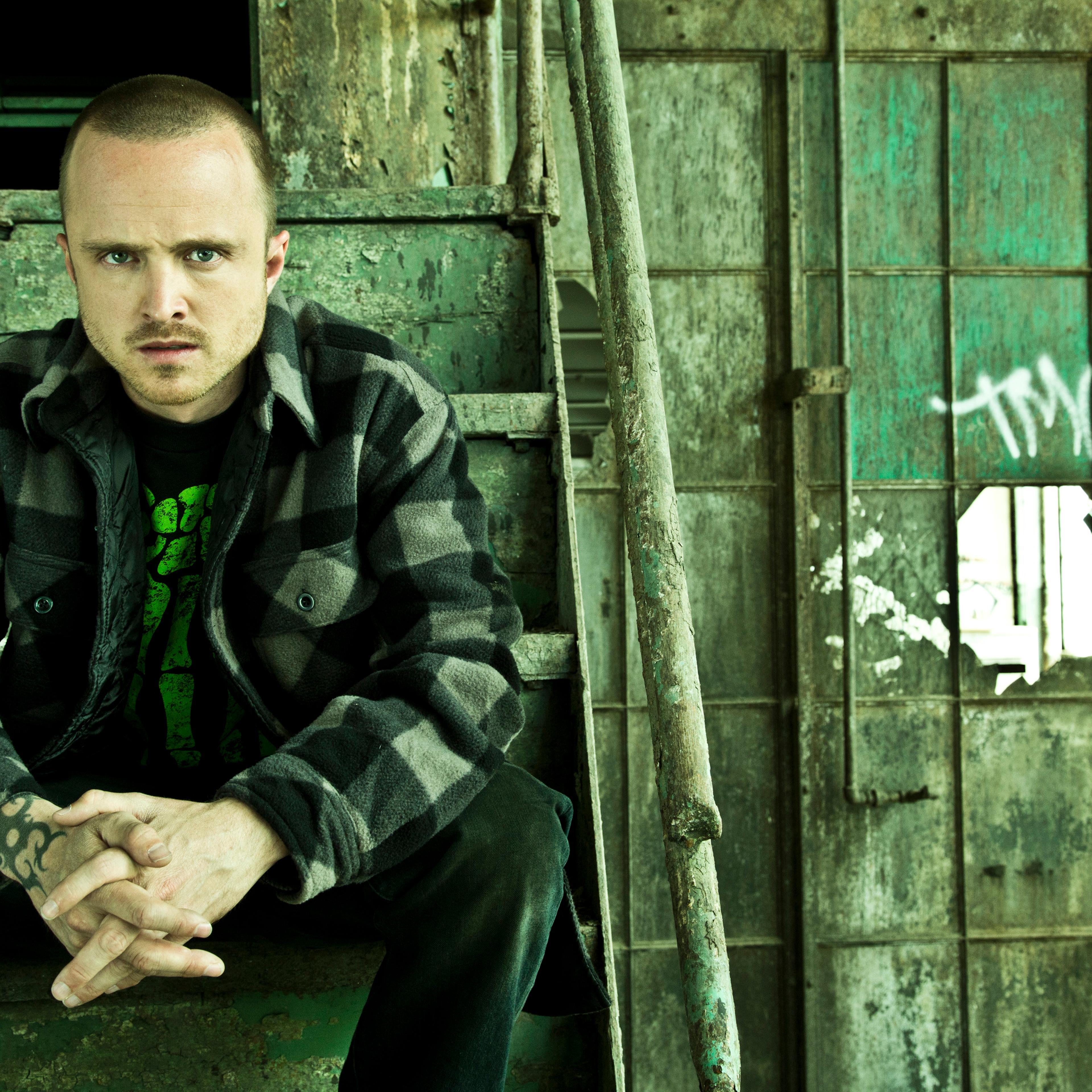 Aaron Paul as Jesse