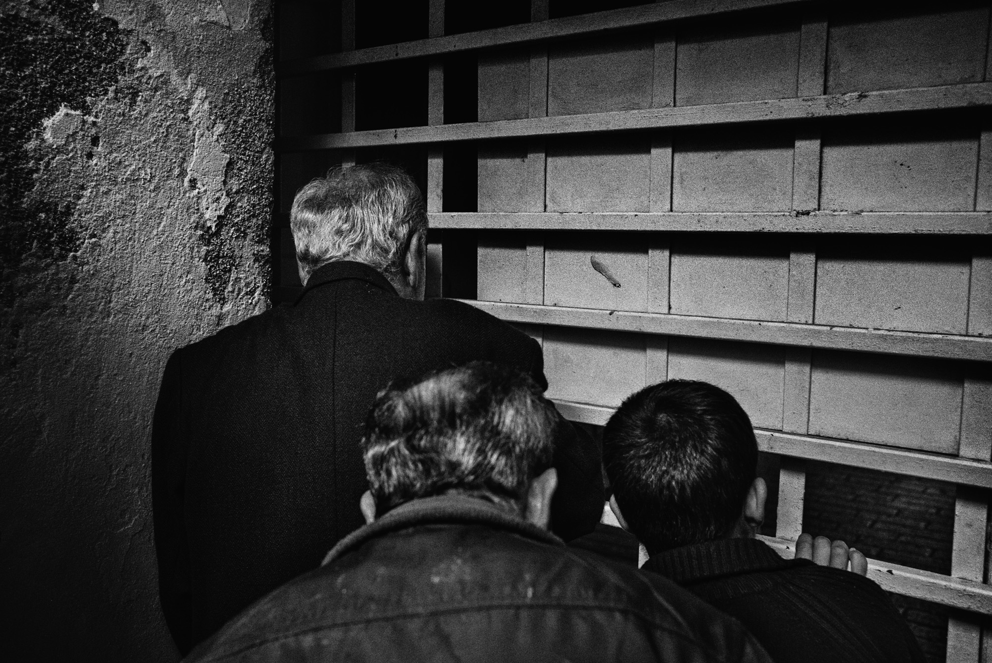 Palestinian bystanders peak through the checkpoint fence outside the Ibrahimi Mosque in Hebron, November 2015.