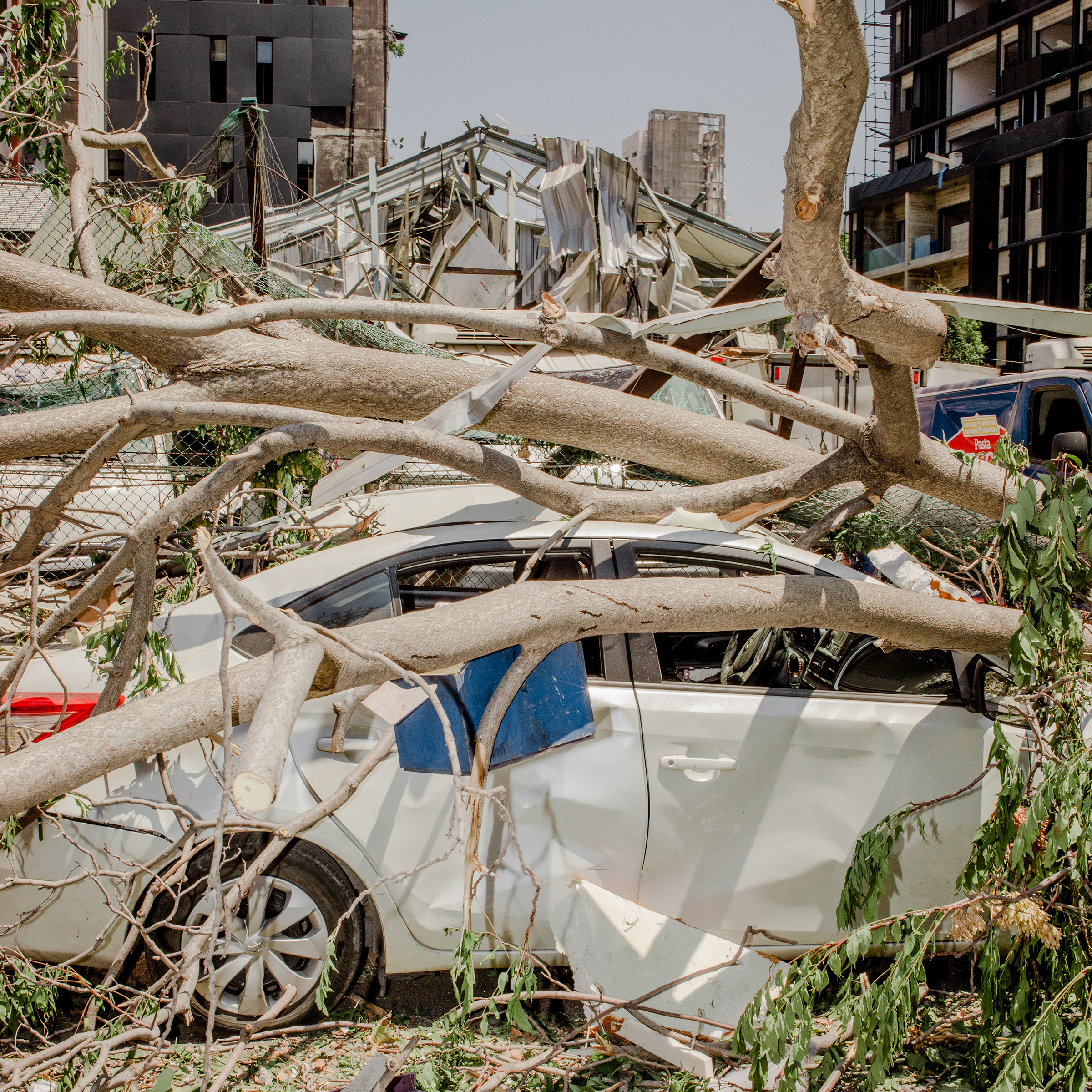 Branches from an uprooted tree rest on a sedan. The blast wave that swept across Beirut on Aug. 4 left debris scattered throughout whole neighborhoods of the Lebanese capital.