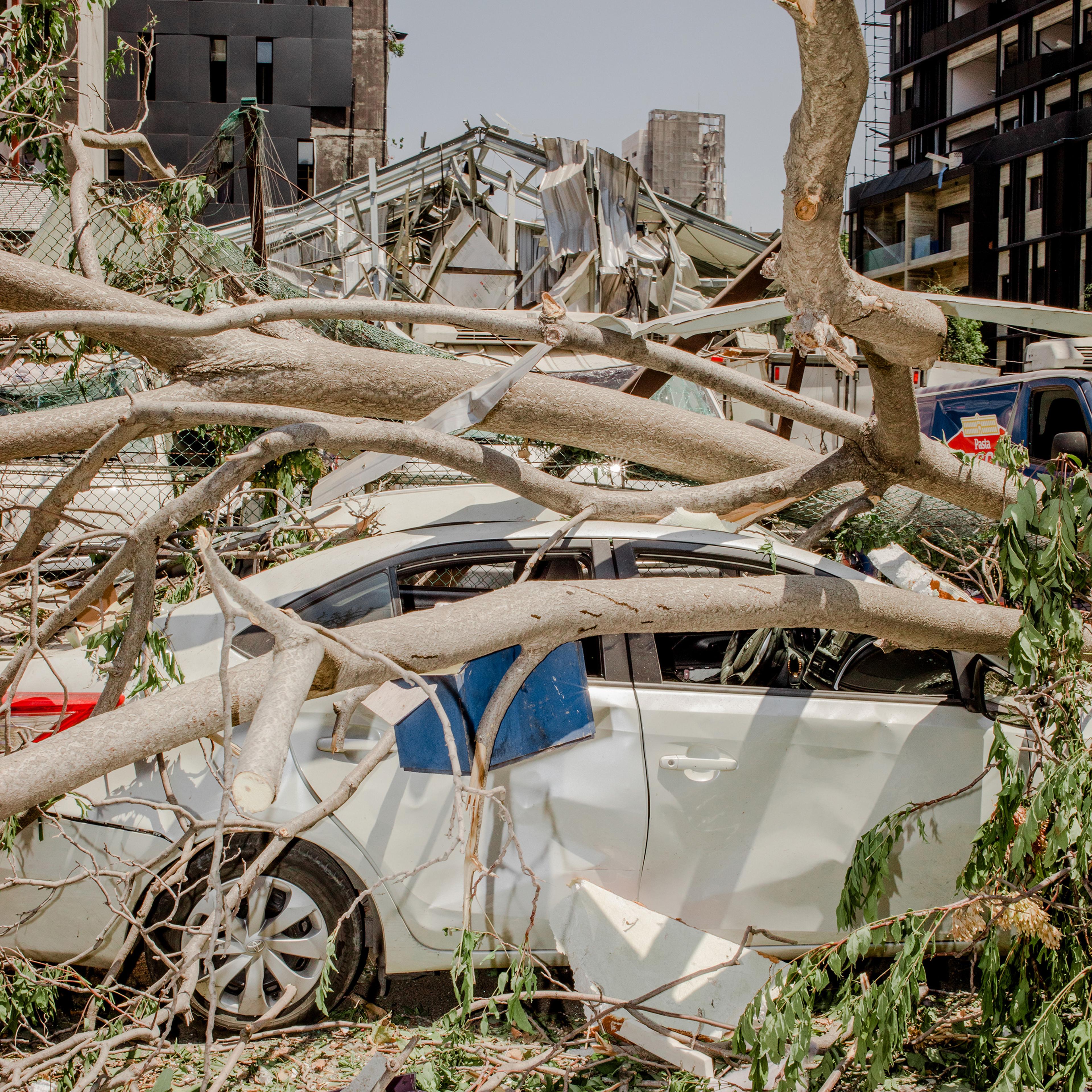 Branches from an uprooted tree rest on a sedan. The blast wave that swept across Beirut on Aug. 4 left debris scattered throughout whole neighborhoods of the Lebanese capital.