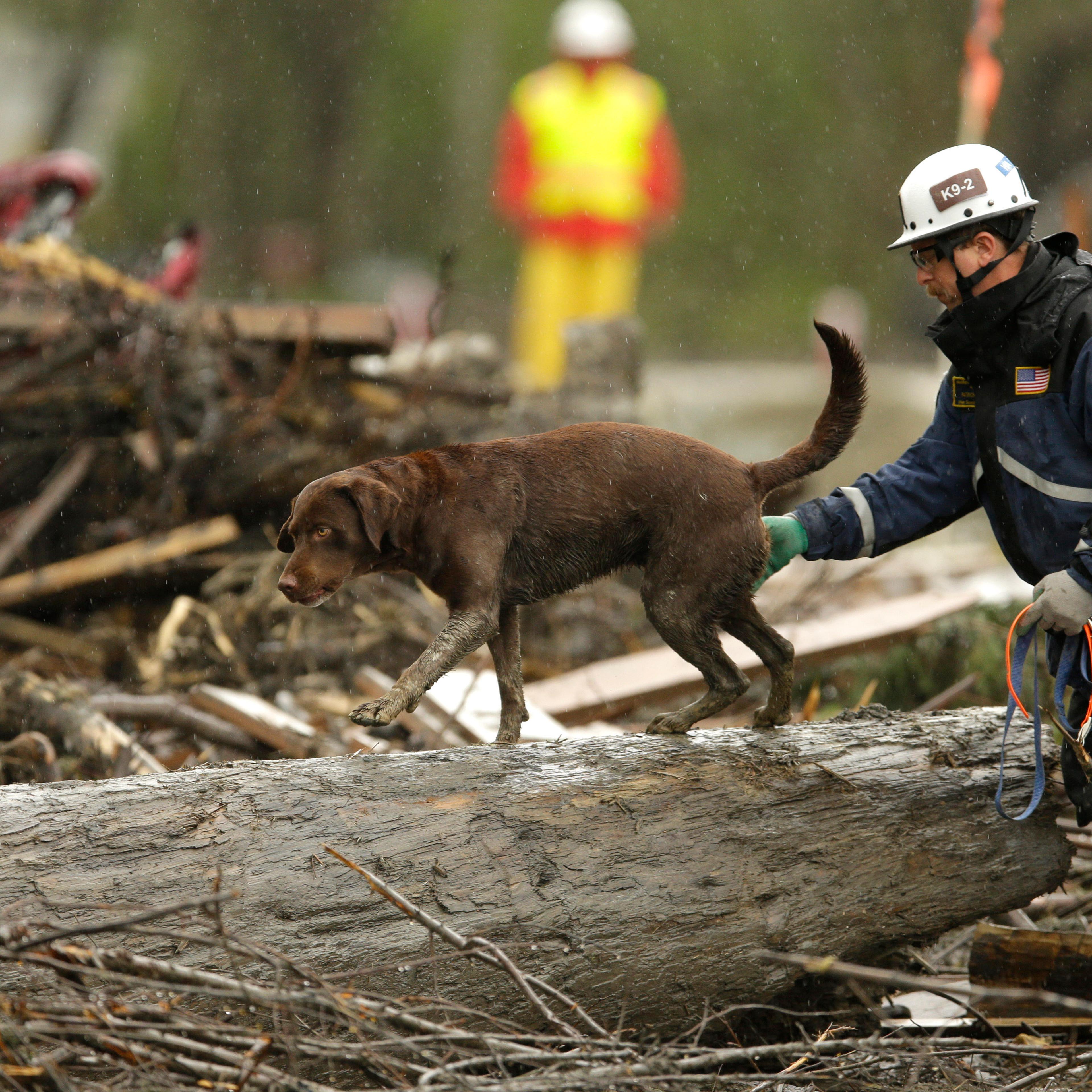 Washington Mudslide Transition