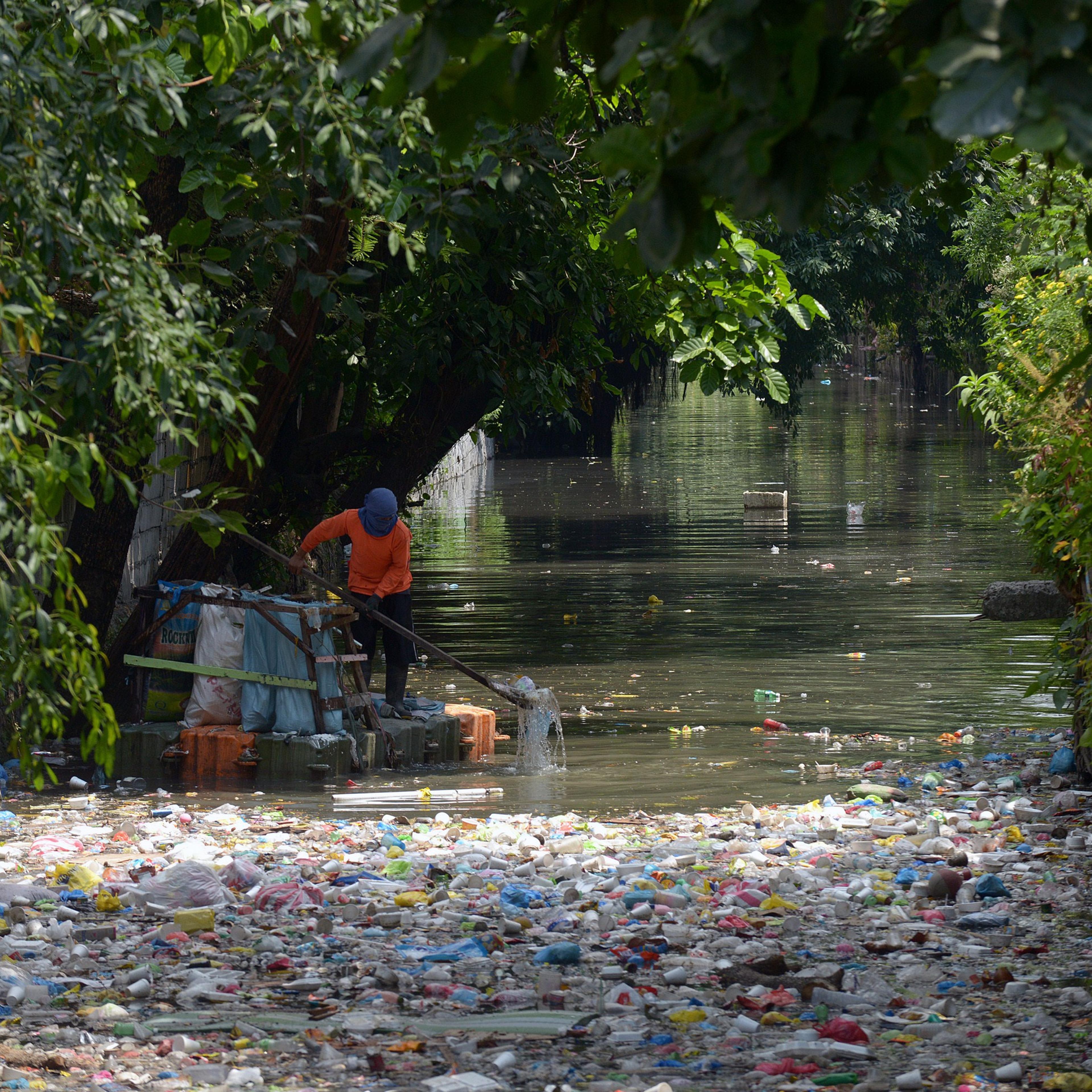 A clean-up volunteer scoops plastic waste at an open sewer in Manila on May 4, 2015. Non-governmental environmental groups are calling for national legislation to prevent plastic waste that clog waterways.