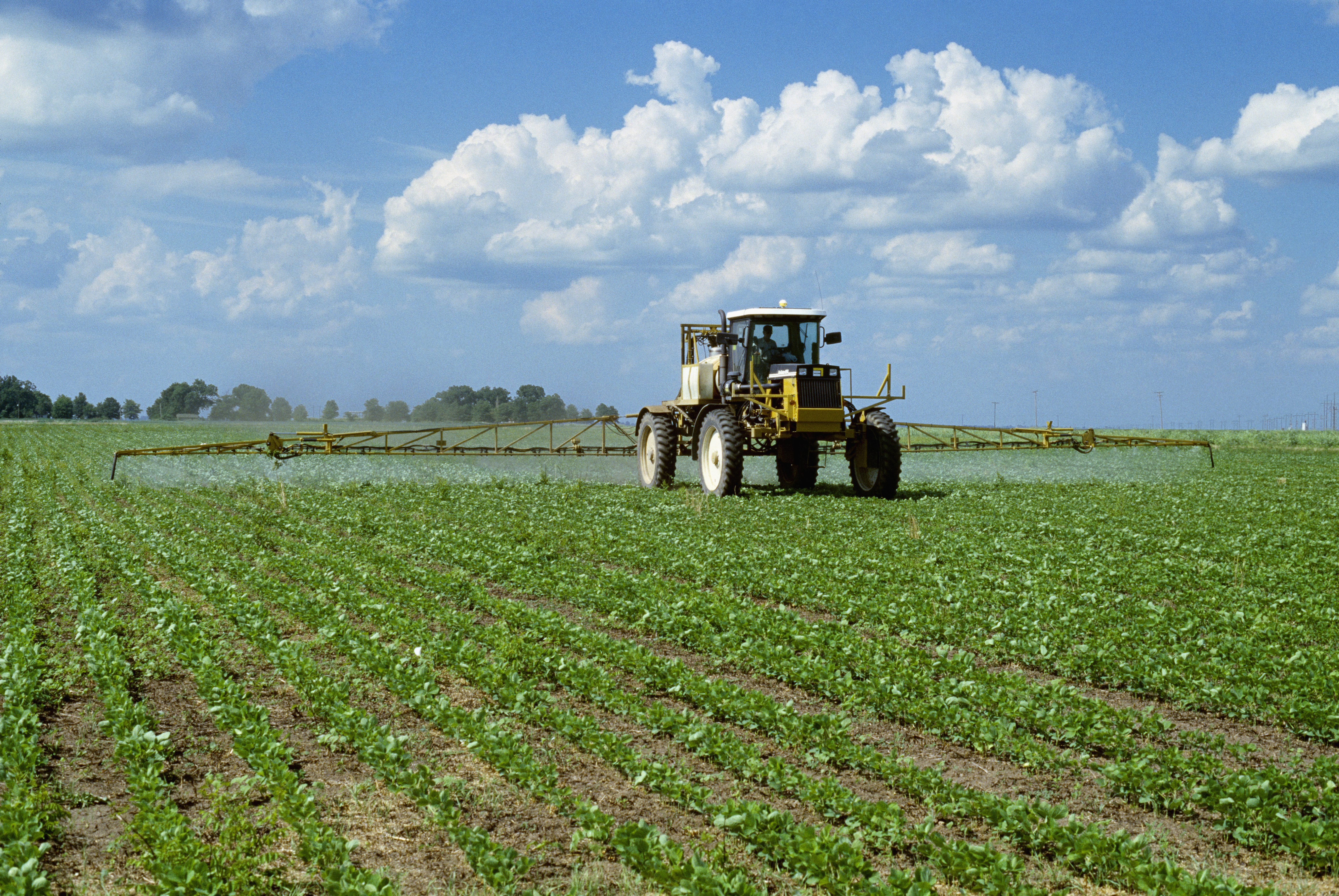 Chemical application, a RoGator applies Roundup Ultra to early growth Roundup Ready soybeans