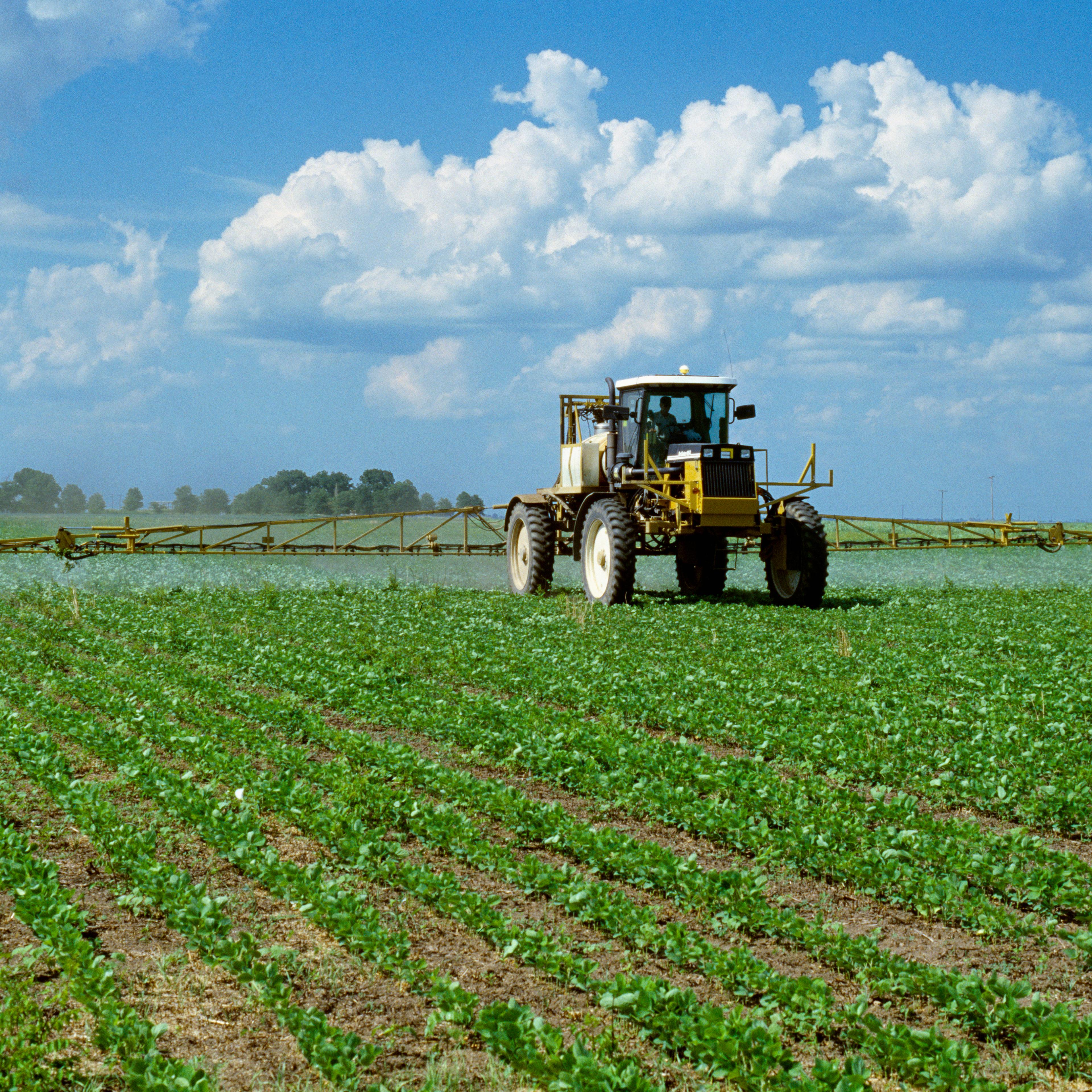 Chemical application, a RoGator applies Roundup Ultra to early growth Roundup Ready soybeans