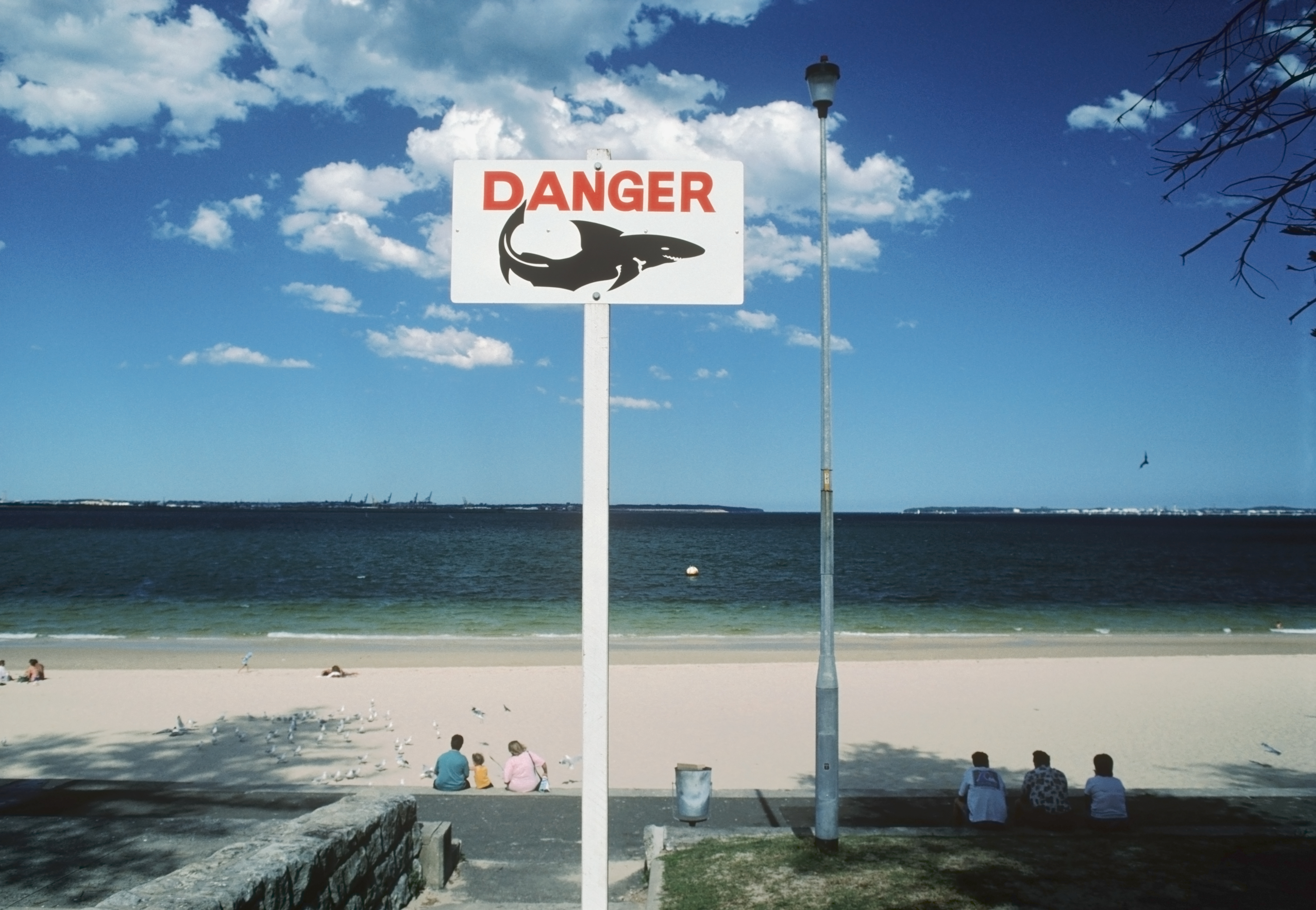 Shark warning sign on Botany Bay beach. Sydney, Australia