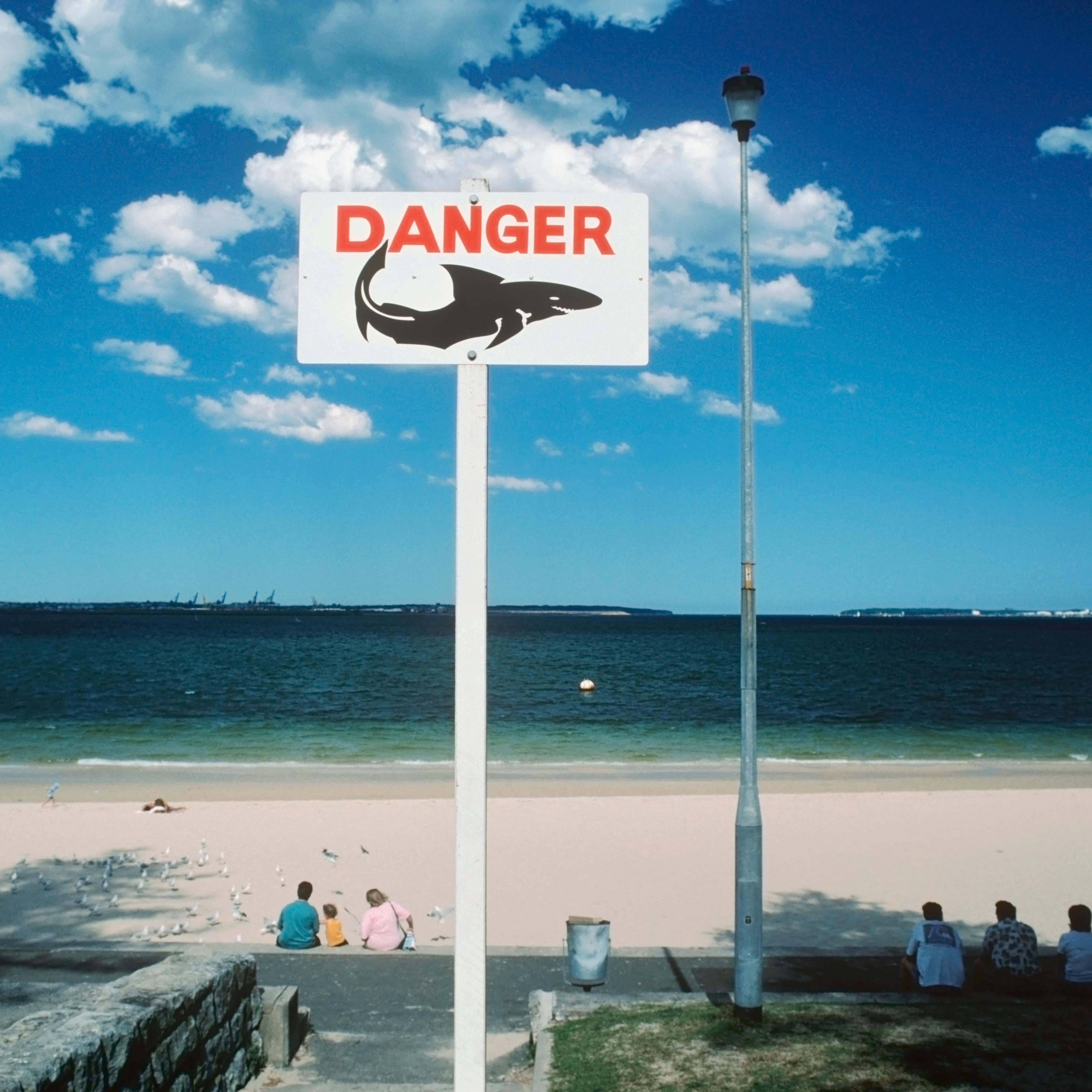Shark warning sign on Botany Bay beach. Sydney, Australia