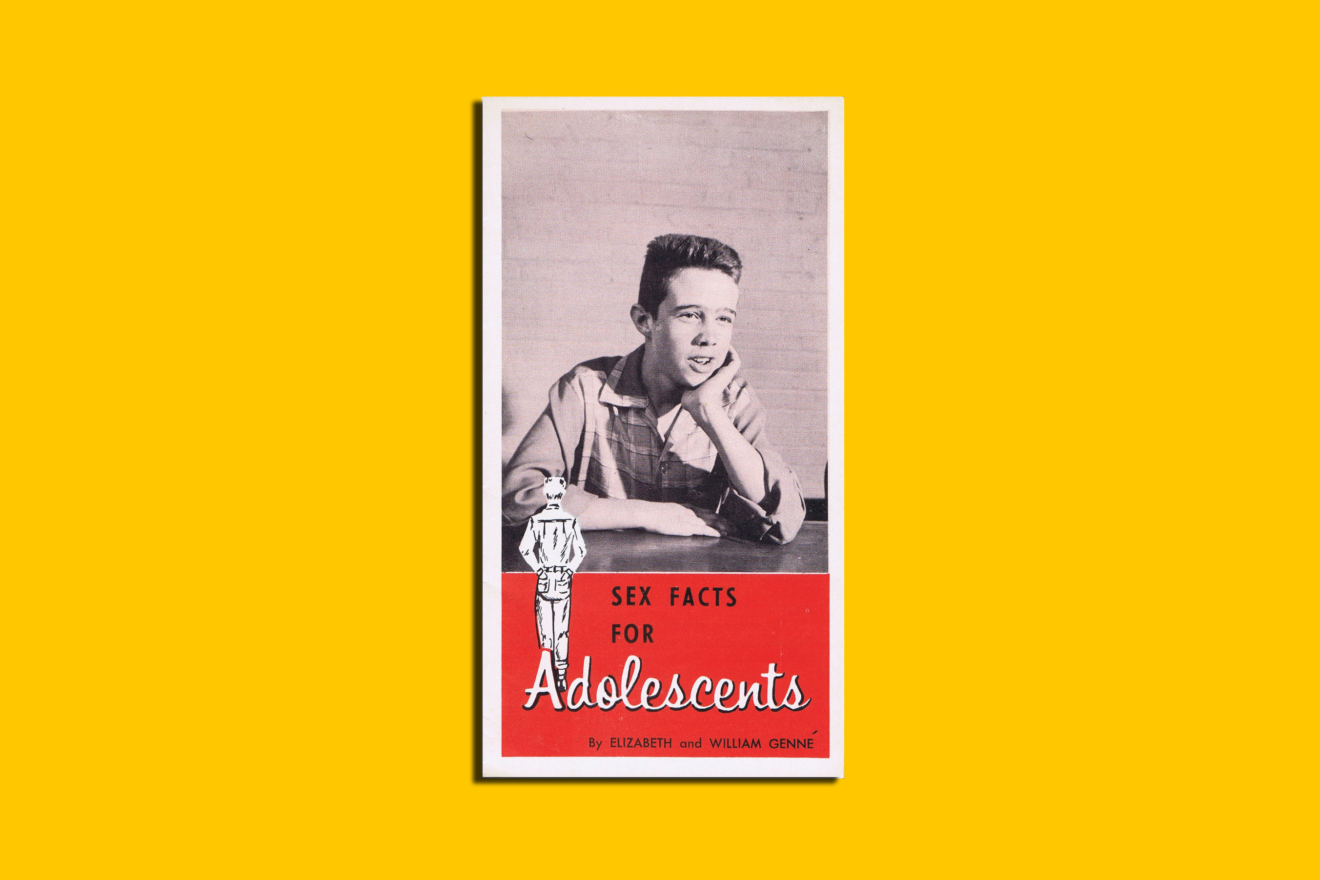 Published by the Christian Education Service, of Nashville, Tennessee, during the 60s, it was written by one of the founders of SIECUS 