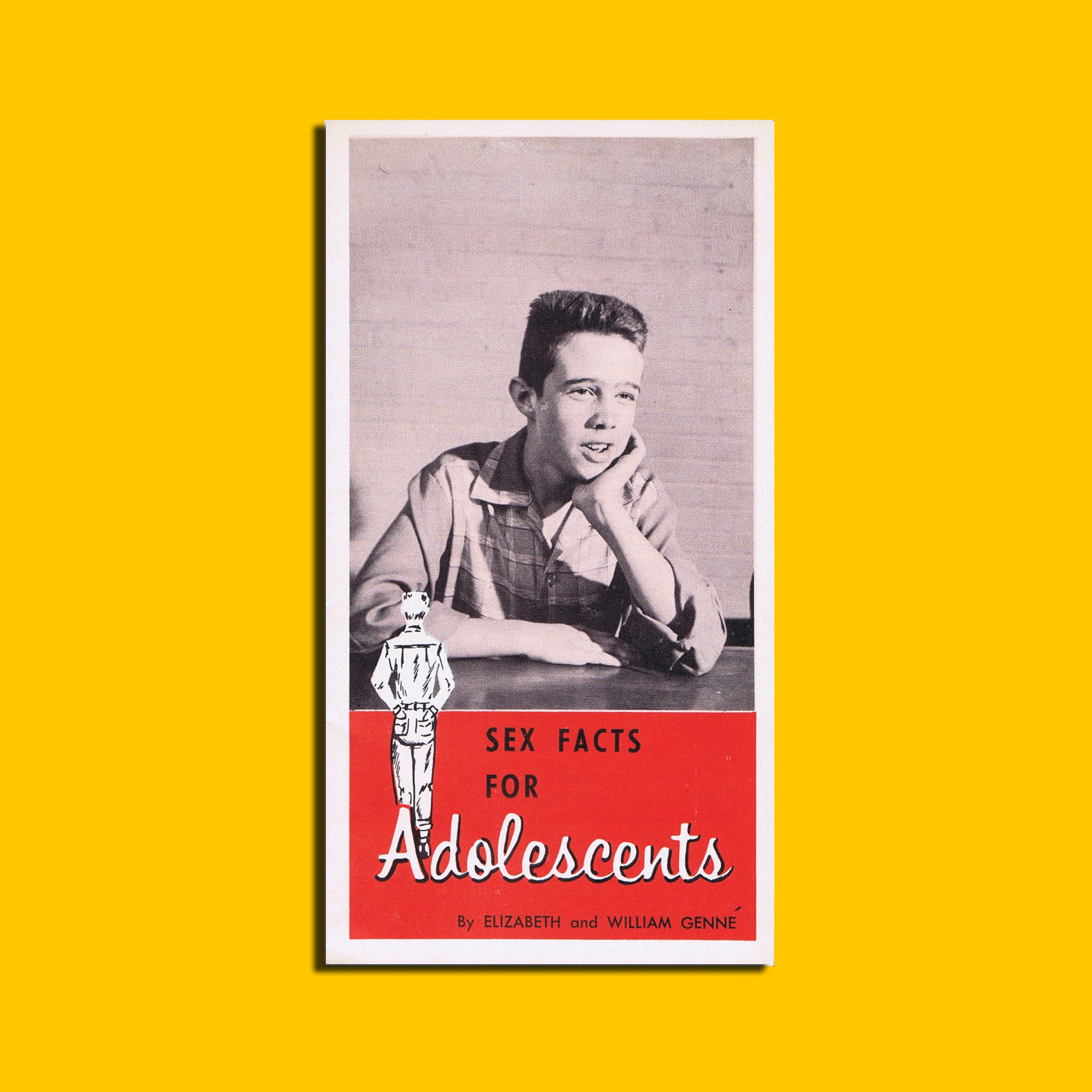 Published by the Christian Education Service, of Nashville, Tennessee, during the 60s, it was written by one of the founders of SIECUS