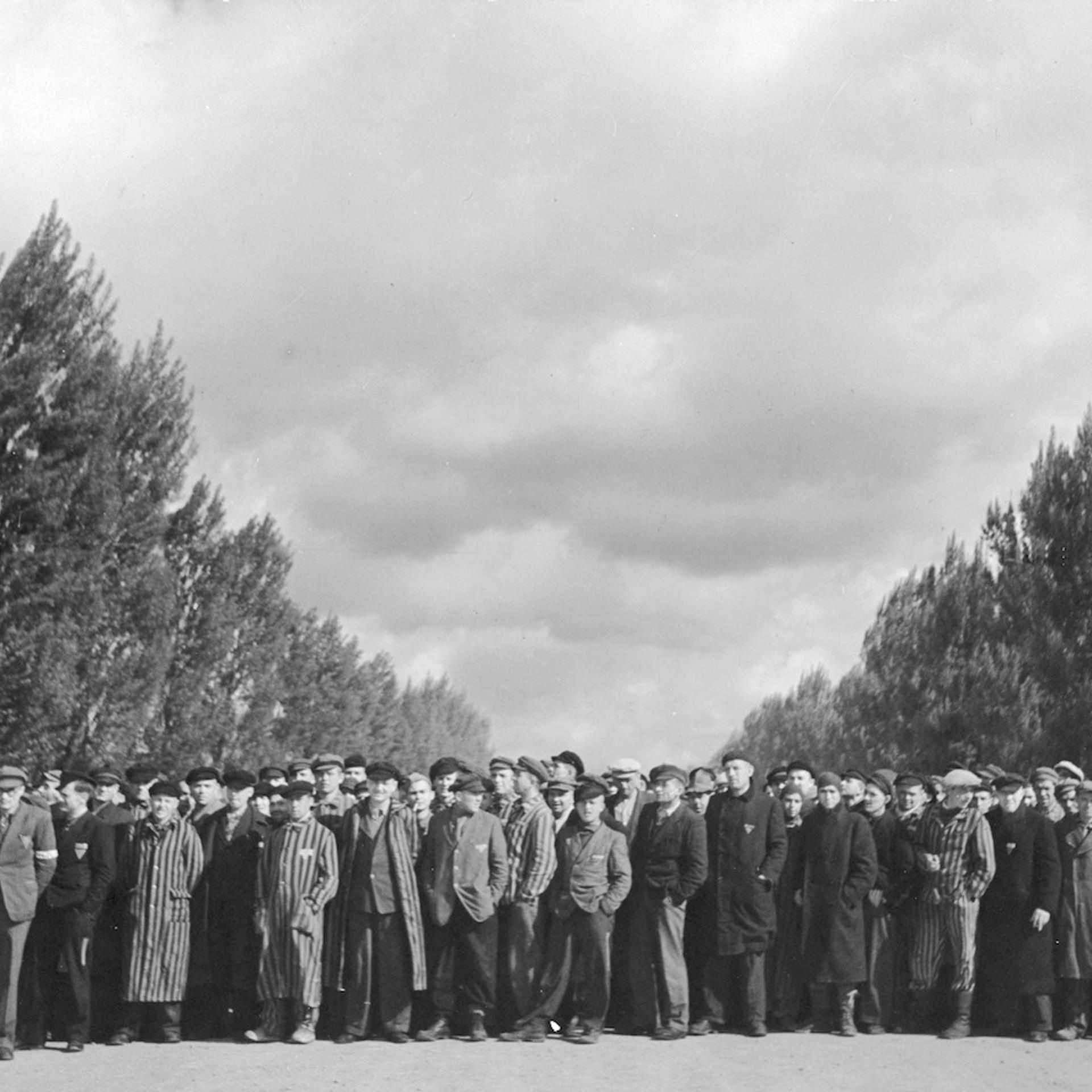 Liberated Dachau prisoners.