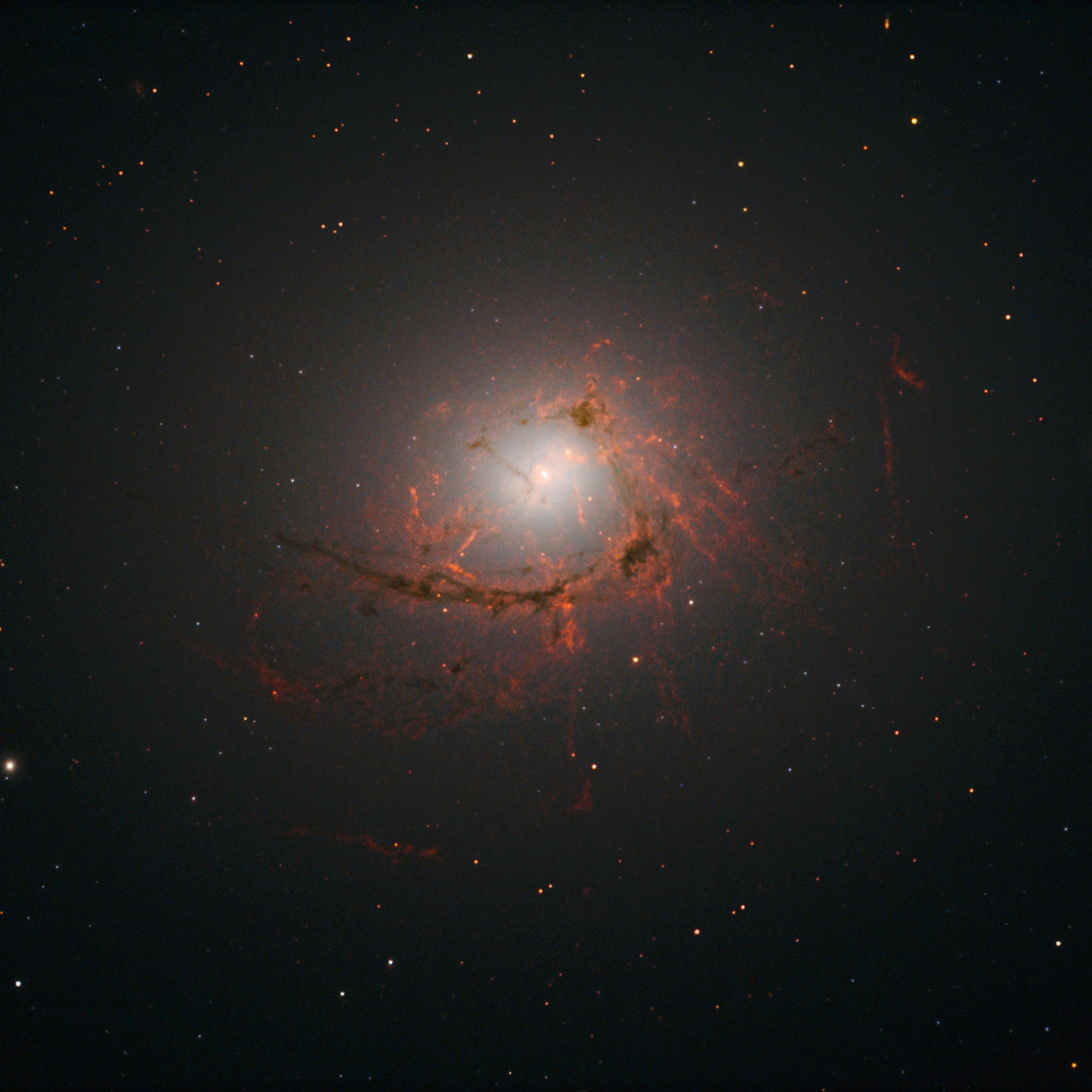 Dusty filaments in NGC 4696