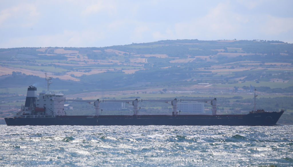 ukraine-ship-stuck