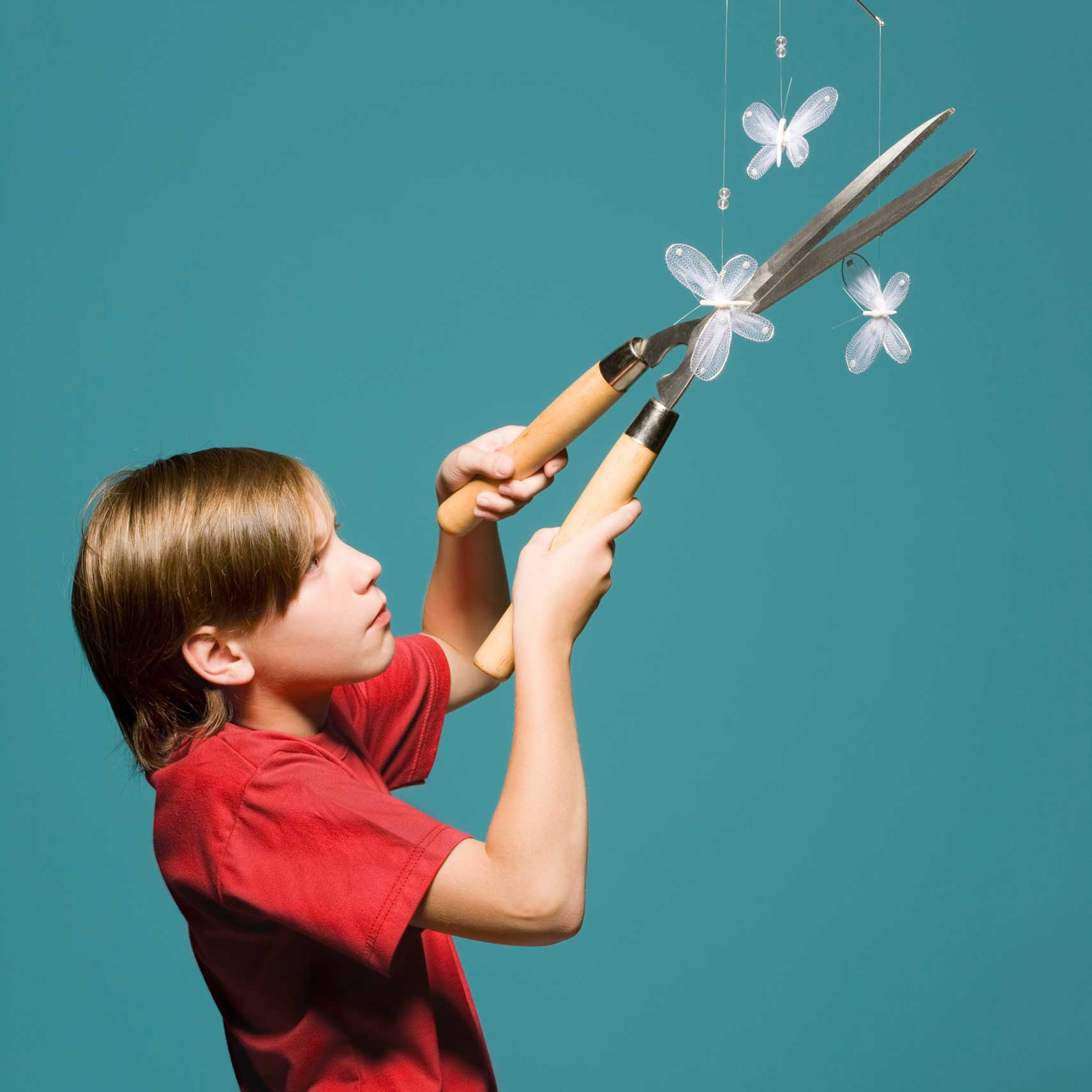 Boy using hedge clippers to cut down butterfly mobile