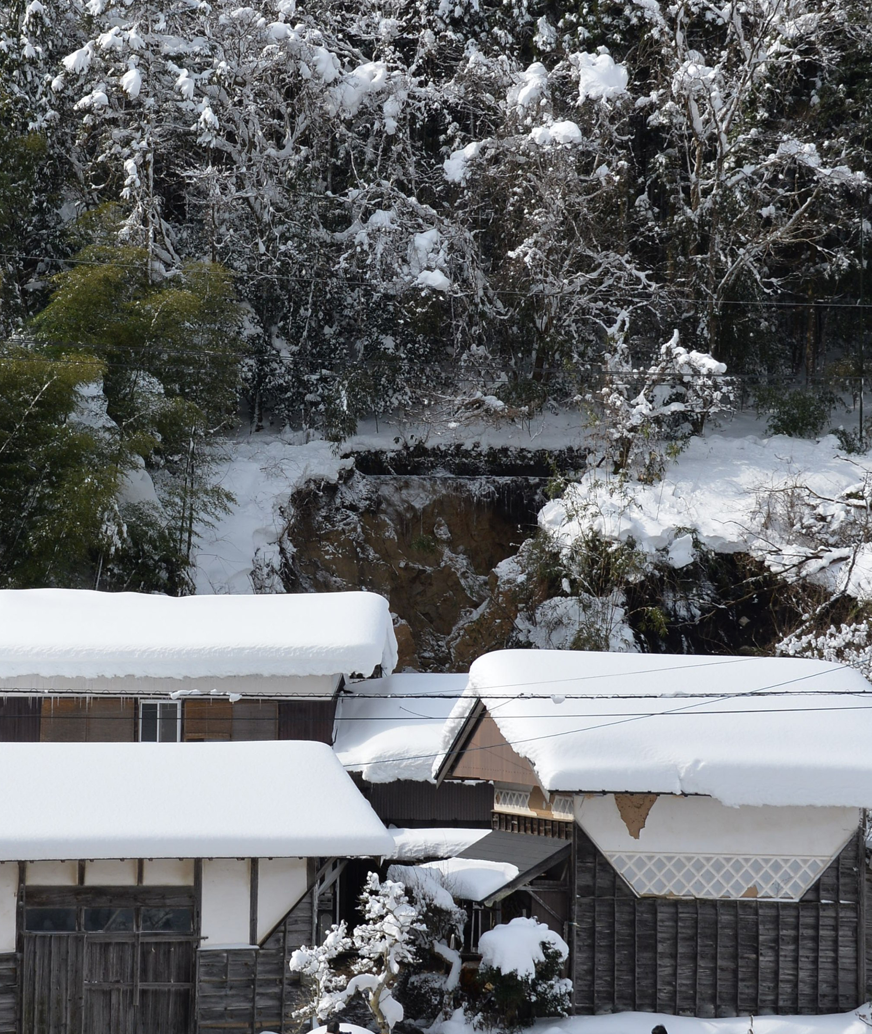 Japan: Extreme Snowfall Leads to 8 Deaths and Injures 610