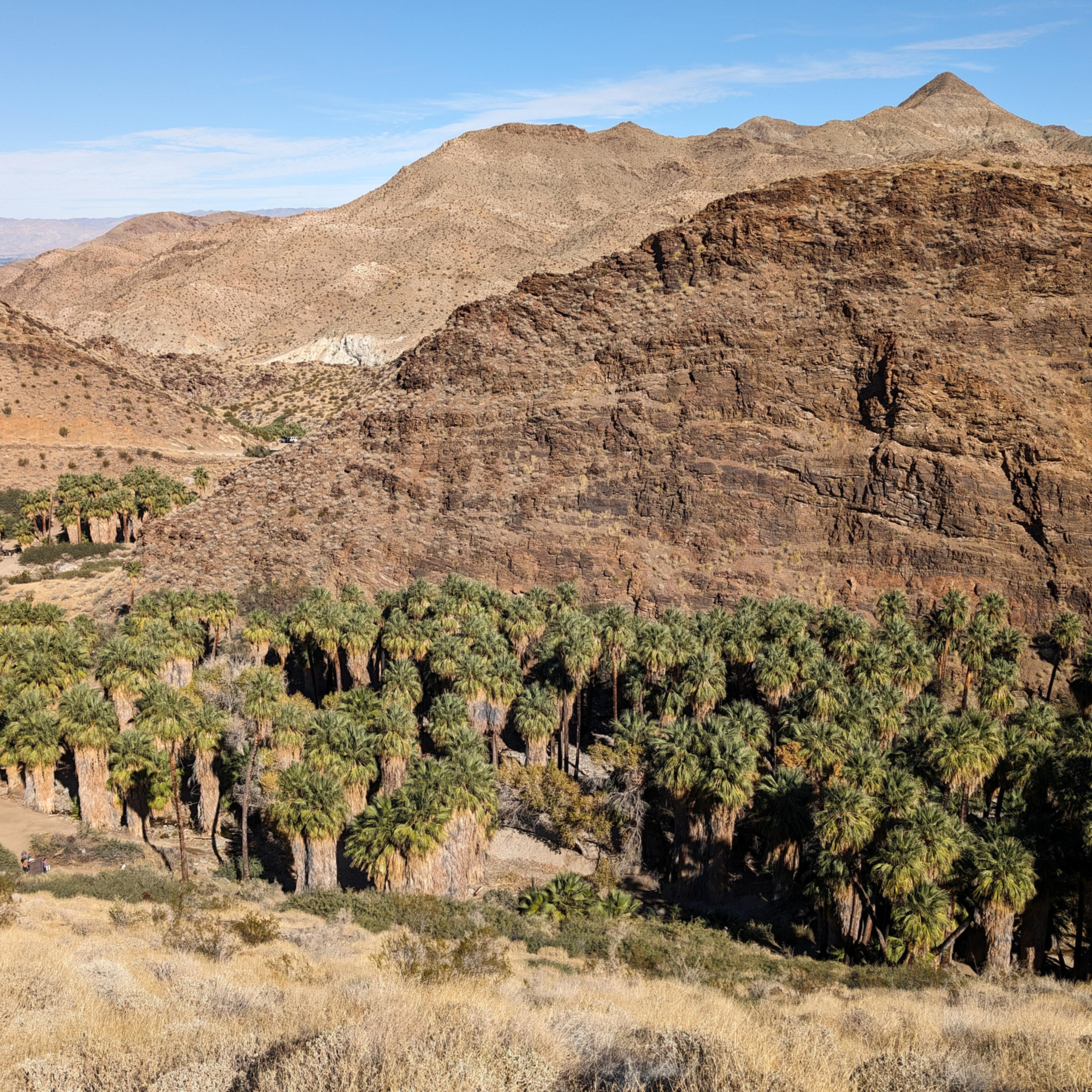 A view of Palm Canyon from the West Fork Trail, located in the Agua Caliente Indian Reservation in California.