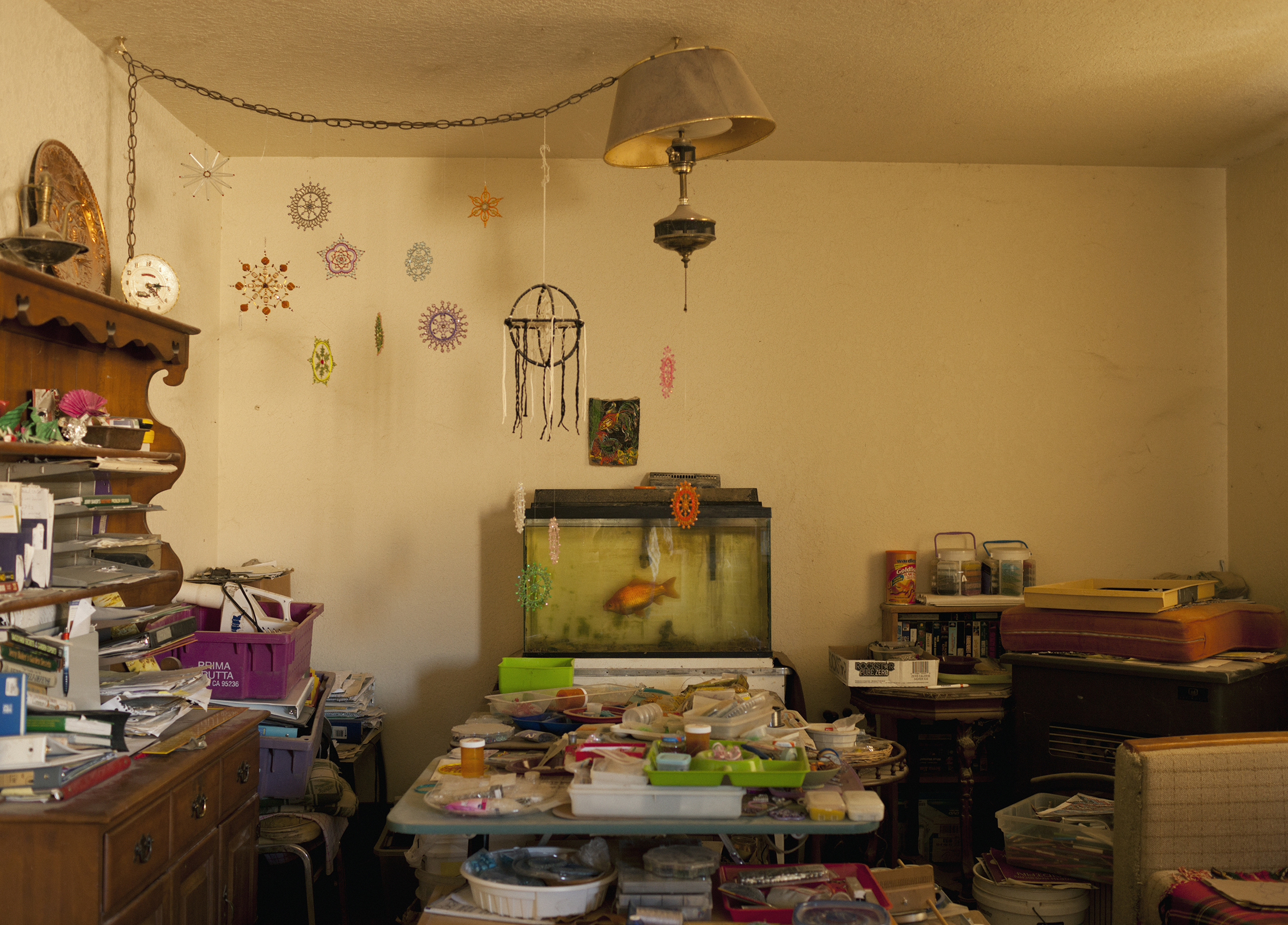 San Andreas Fault, California: Interior, Carrizo PlainPhoto: Knut Egil Wang/Moment/Institute