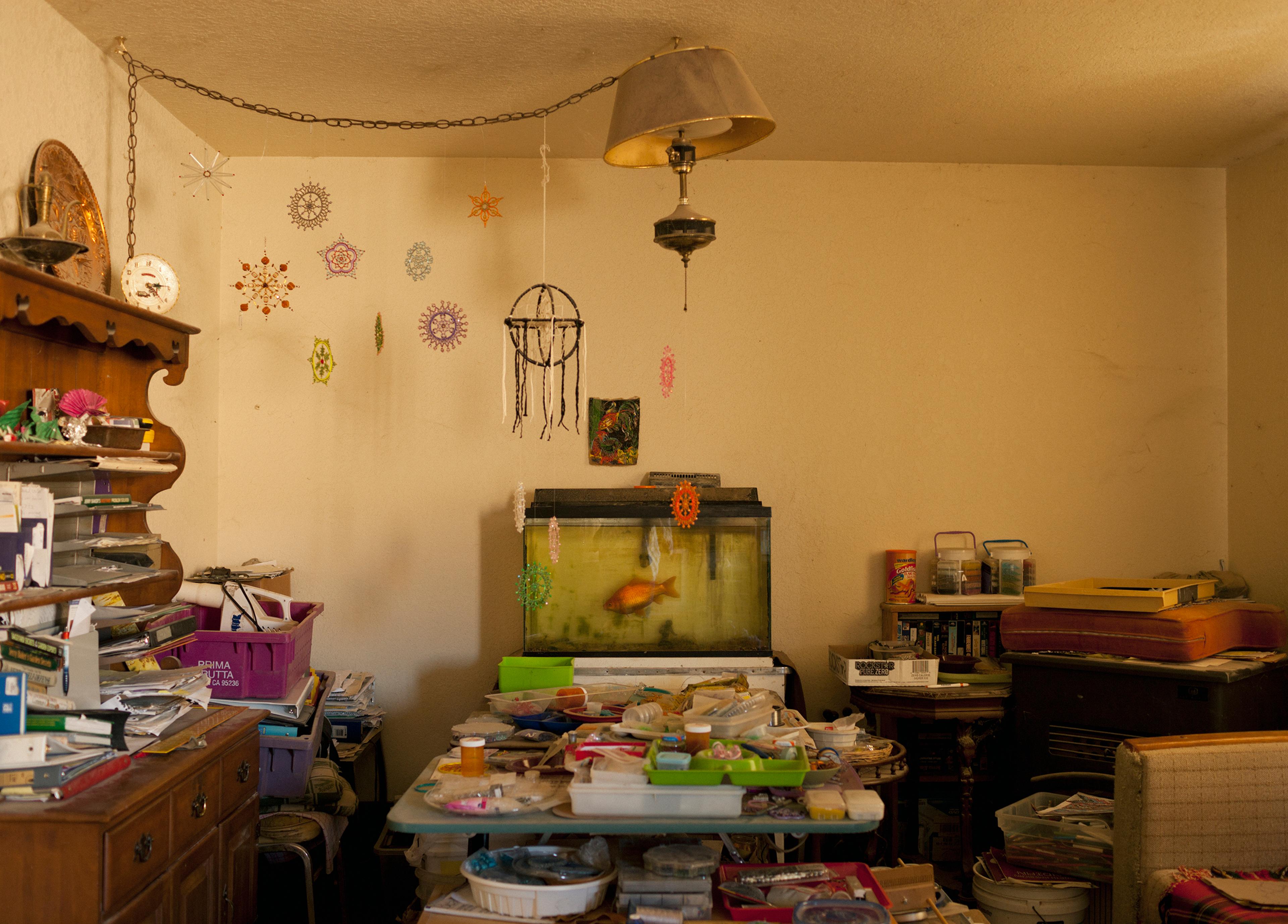 San Andreas Fault, California: Interior, Carrizo PlainPhoto: Knut Egil Wang/Moment/Institute