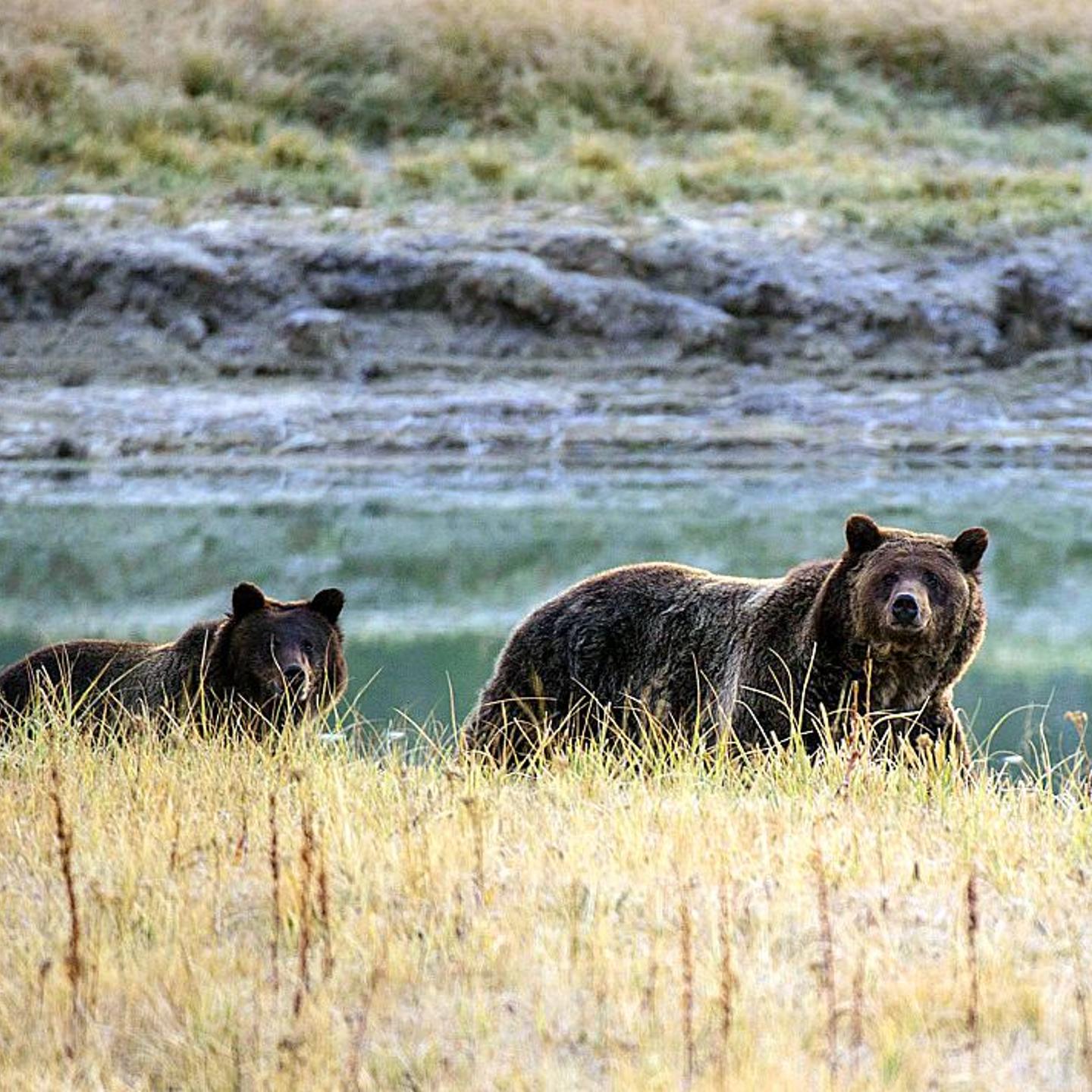 US-PARKS-YELLOSTONE NATIONAL PARK