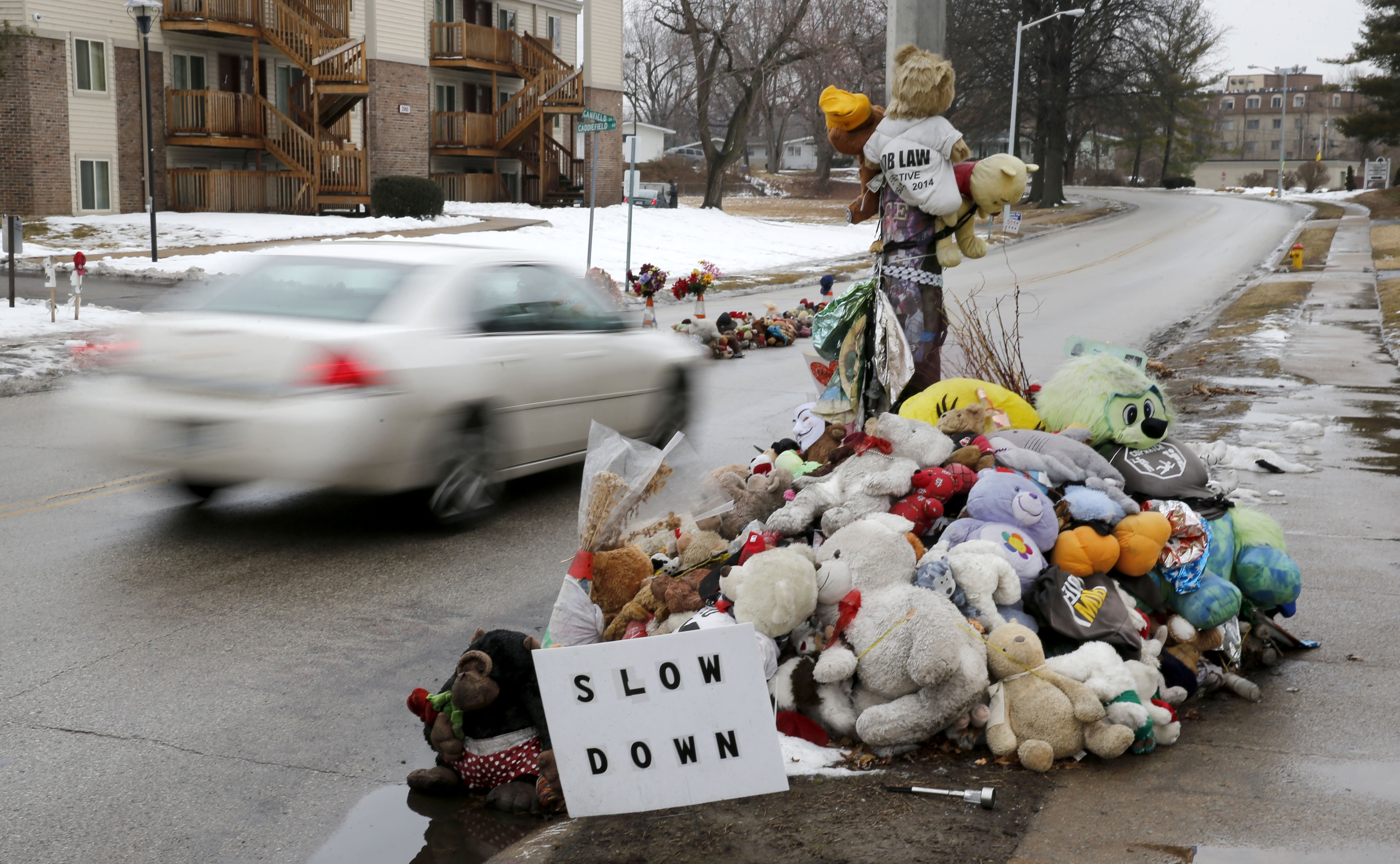 Killings By Police Ferguson
