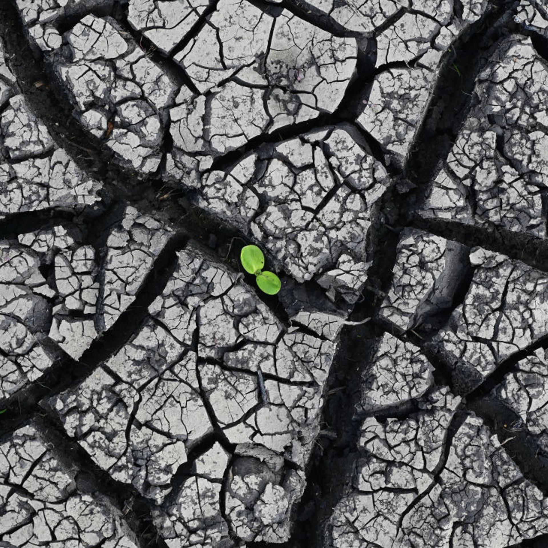 The science is clear: the patient, our home planet earth, is in critical condition.