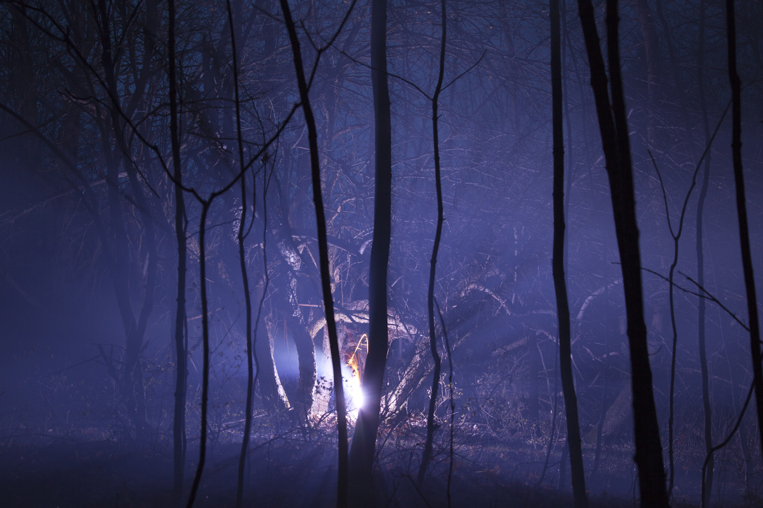 Burned Over #5, 2012