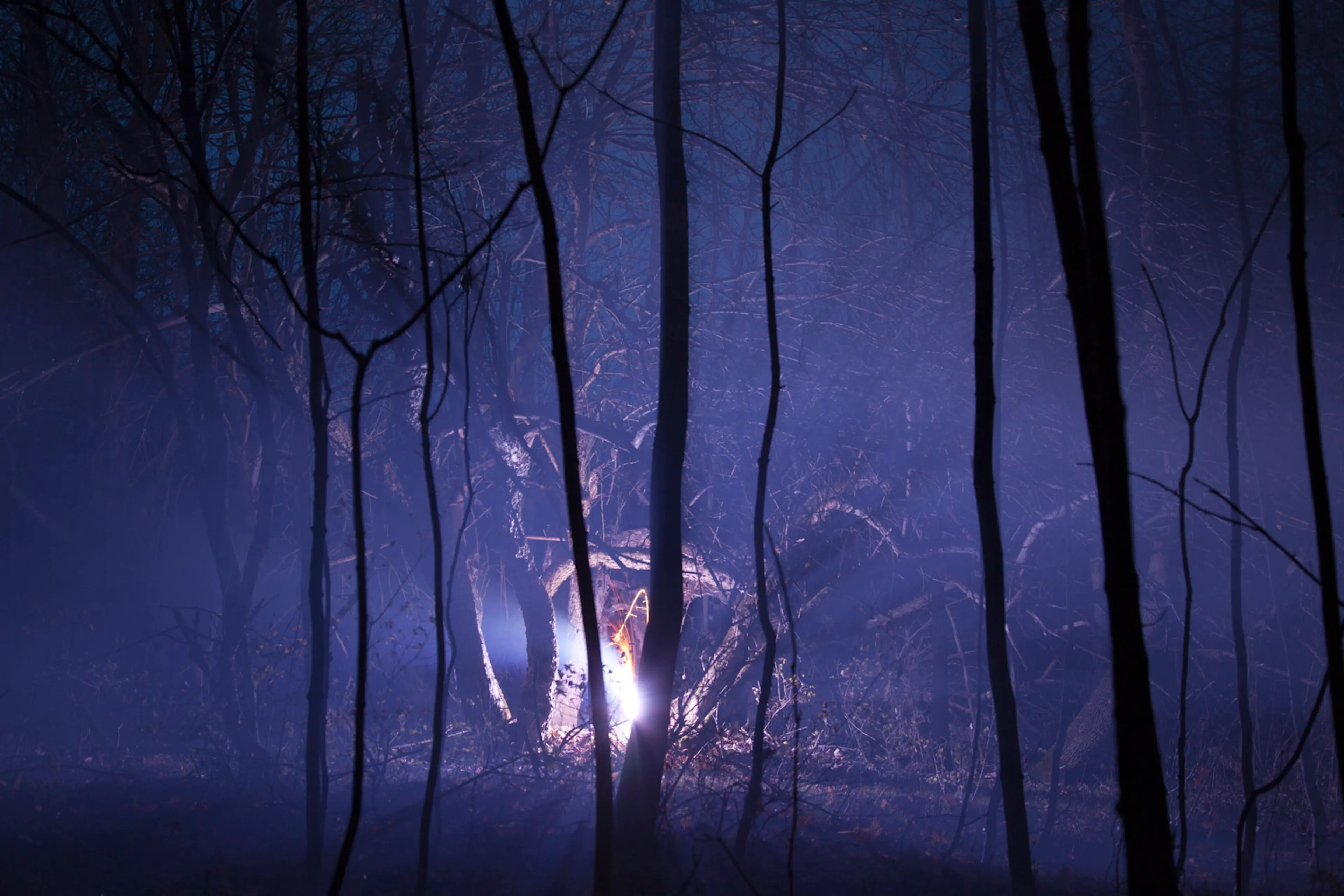Burned Over #5, 2012