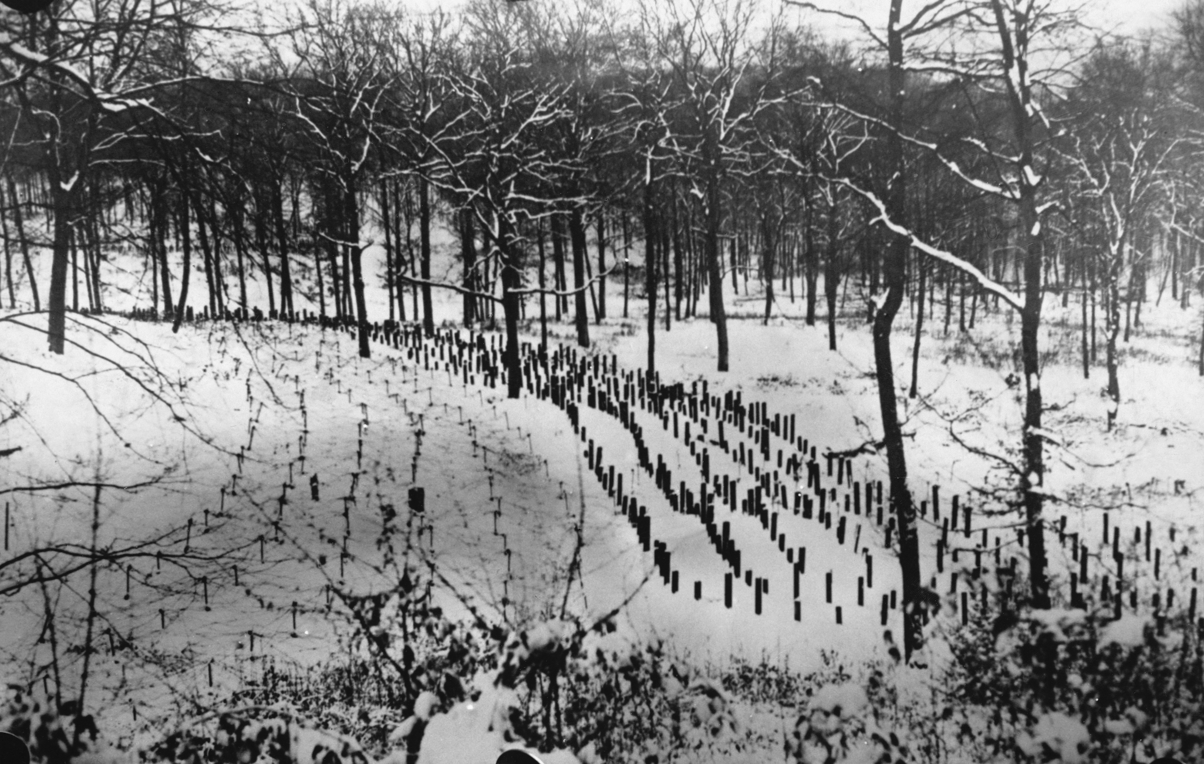 Rows of Posts in Front of the Maginot Line, ca. 1940