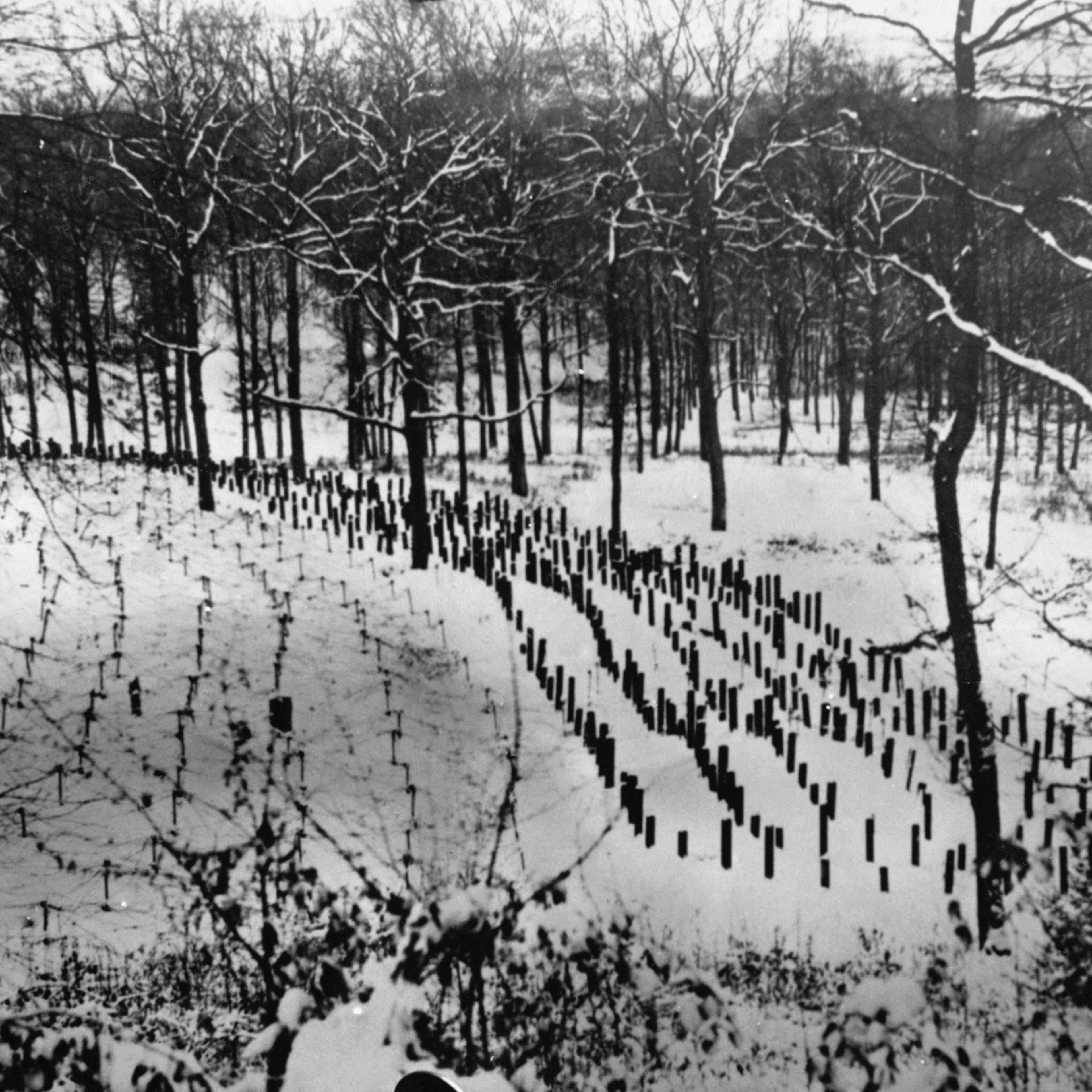 Rows of Posts in Front of the Maginot Line, ca. 1940