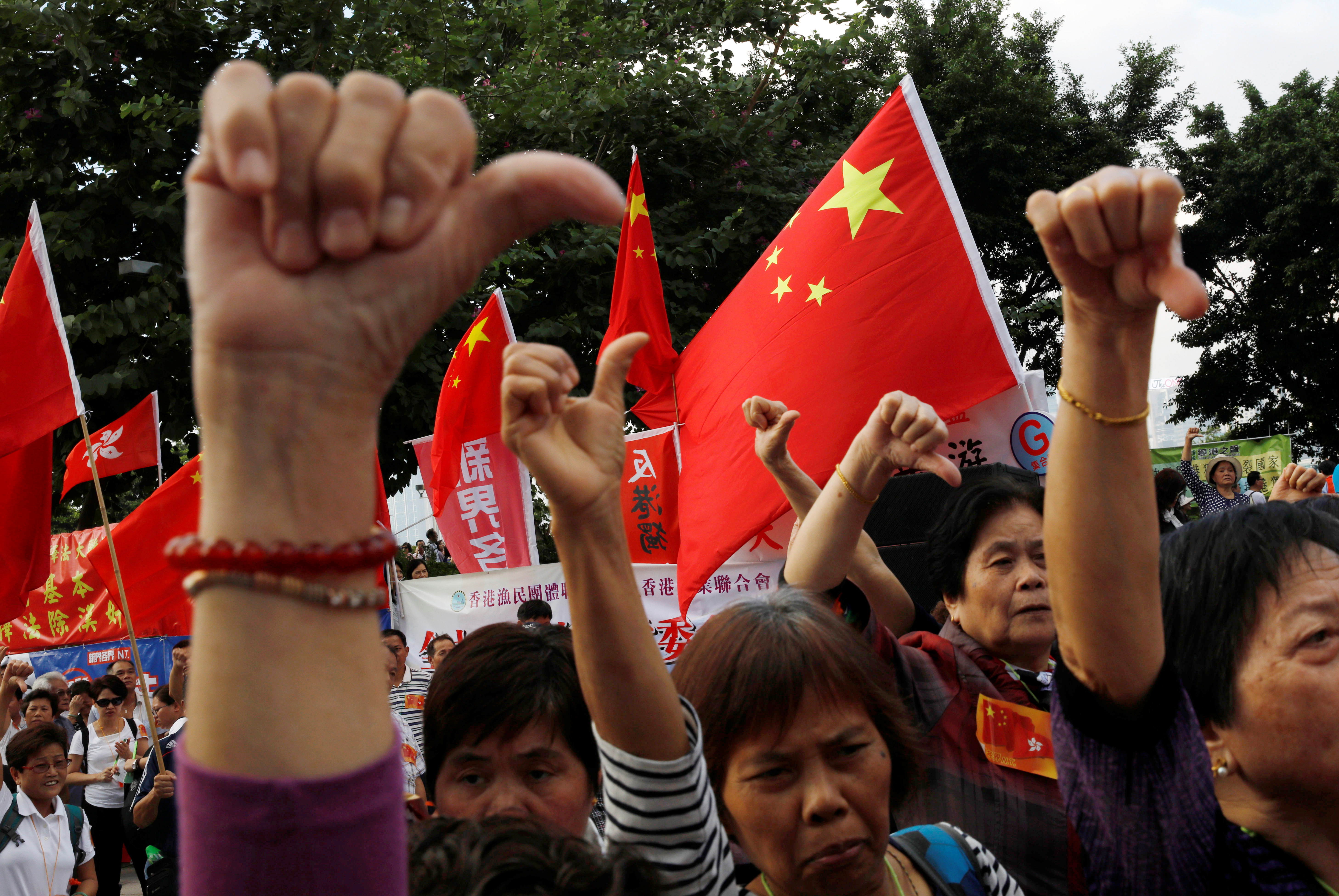 Pro-China supporters show the thumbs down in front of Chinese national flags as they attend an anti-Hong Kong independence rally outside the Legislative Council in Hong Kong