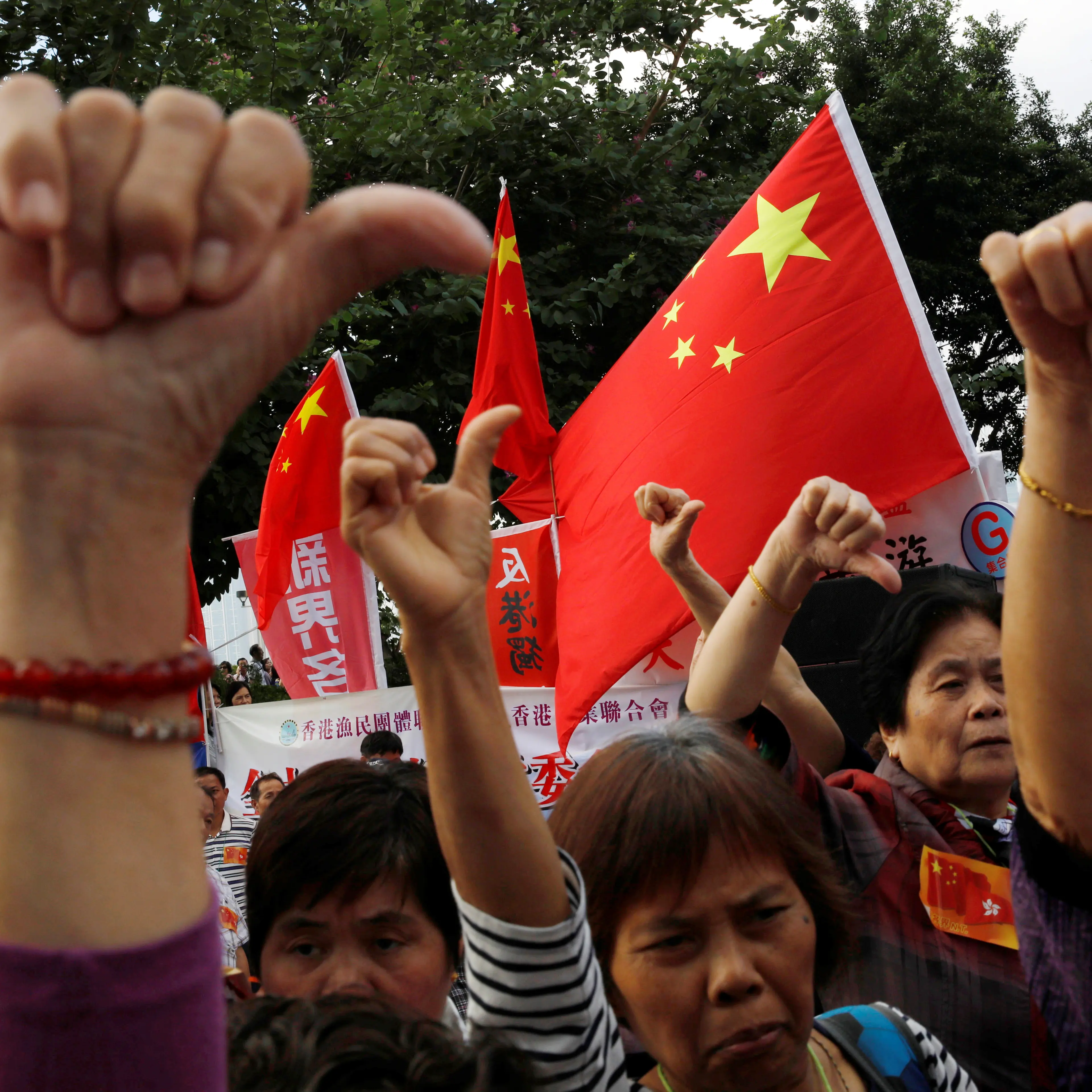 Pro-China supporters show the thumbs down in front of Chinese national flags as they attend an anti-Hong Kong independence rally outside the Legislative Council in Hong Kong