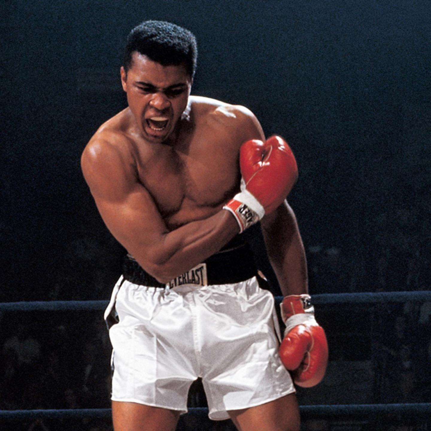 Muhammad Ali vs Sonny Liston, 1965 World Heavyweight Title
