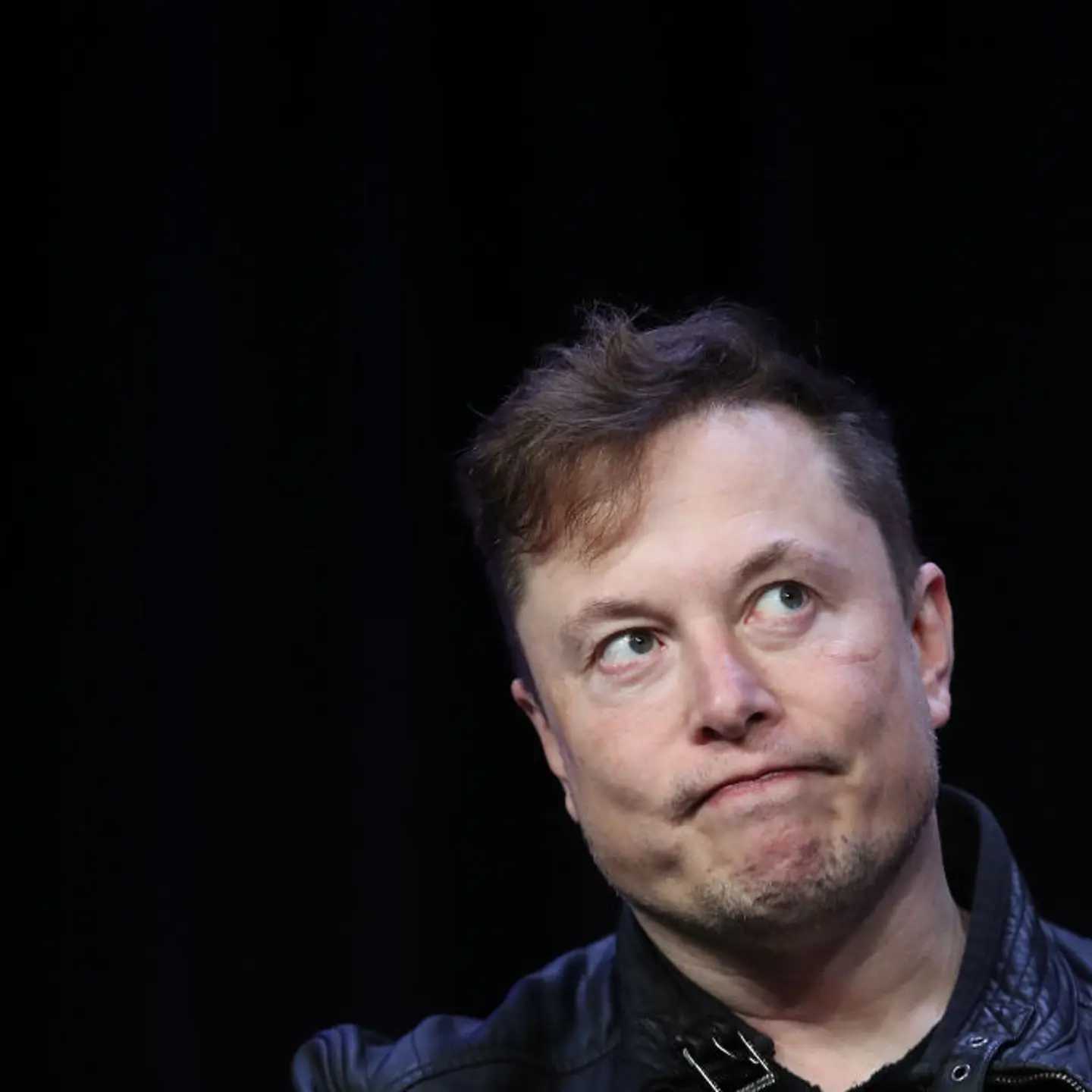Elon Musk Tesla Stock Plunge