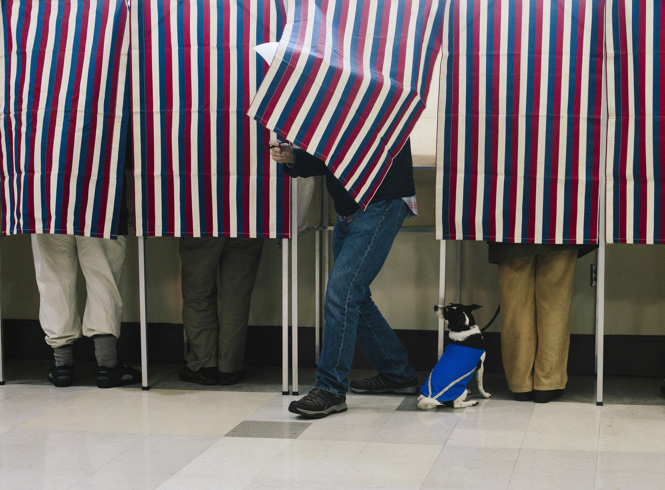Voters at the Merrill Auditorium Rehearsal Hall in Portland, Maine on Nov. 4, 2014.