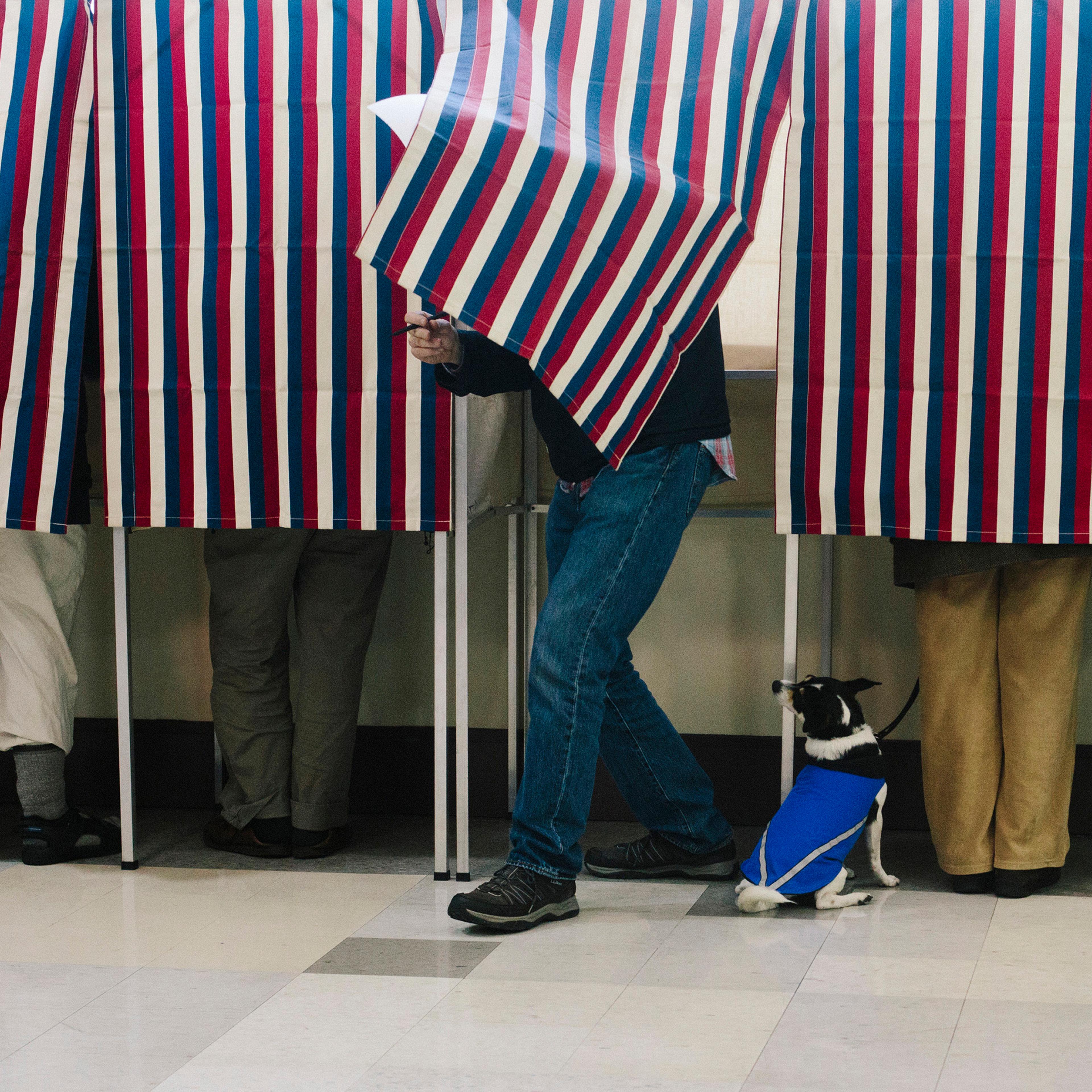 Voters at the Merrill Auditorium Rehearsal Hall in Portland, Maine on Nov. 4, 2014.